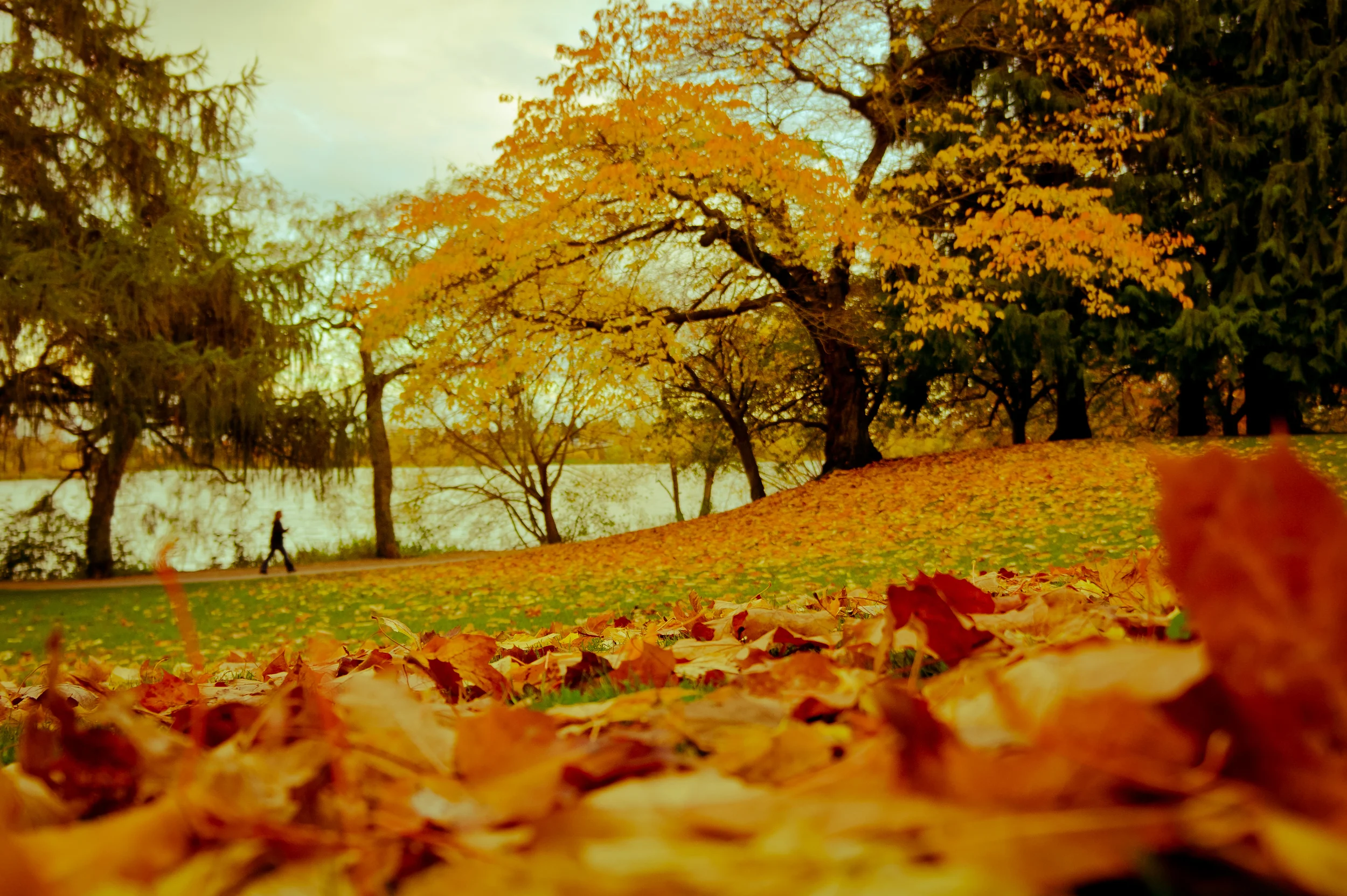Autumn at Greenlake, via Olypress.com taken by Bill Baker