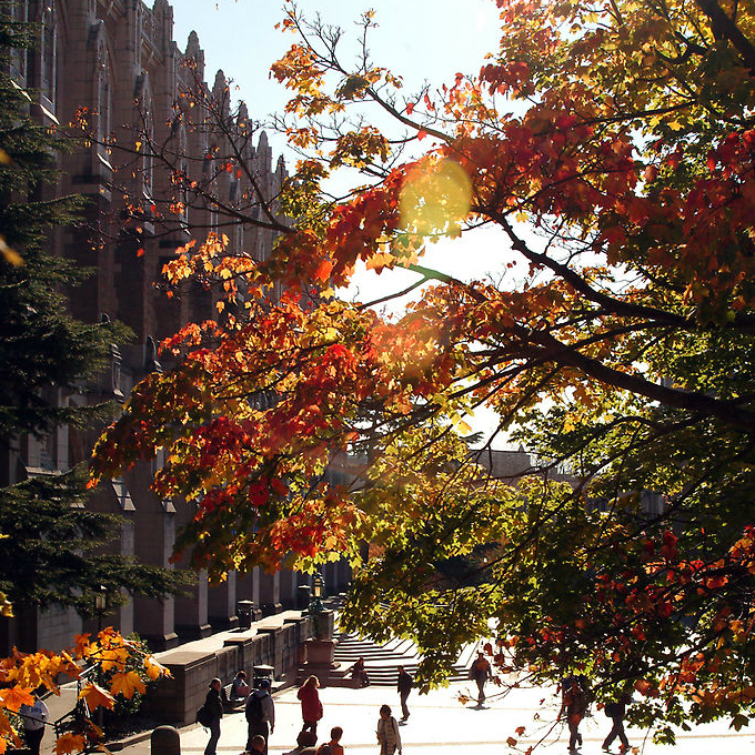 Suzzalo Library looking so damn collegiate 