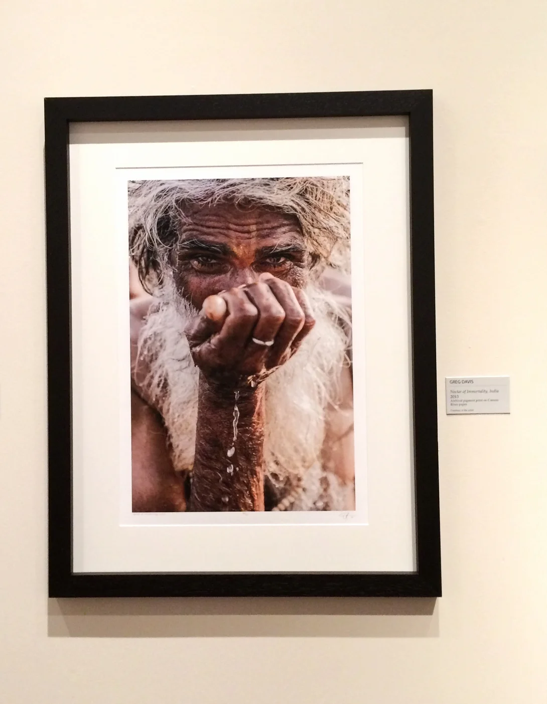 Nectar of Immortality, India , Greg Davis