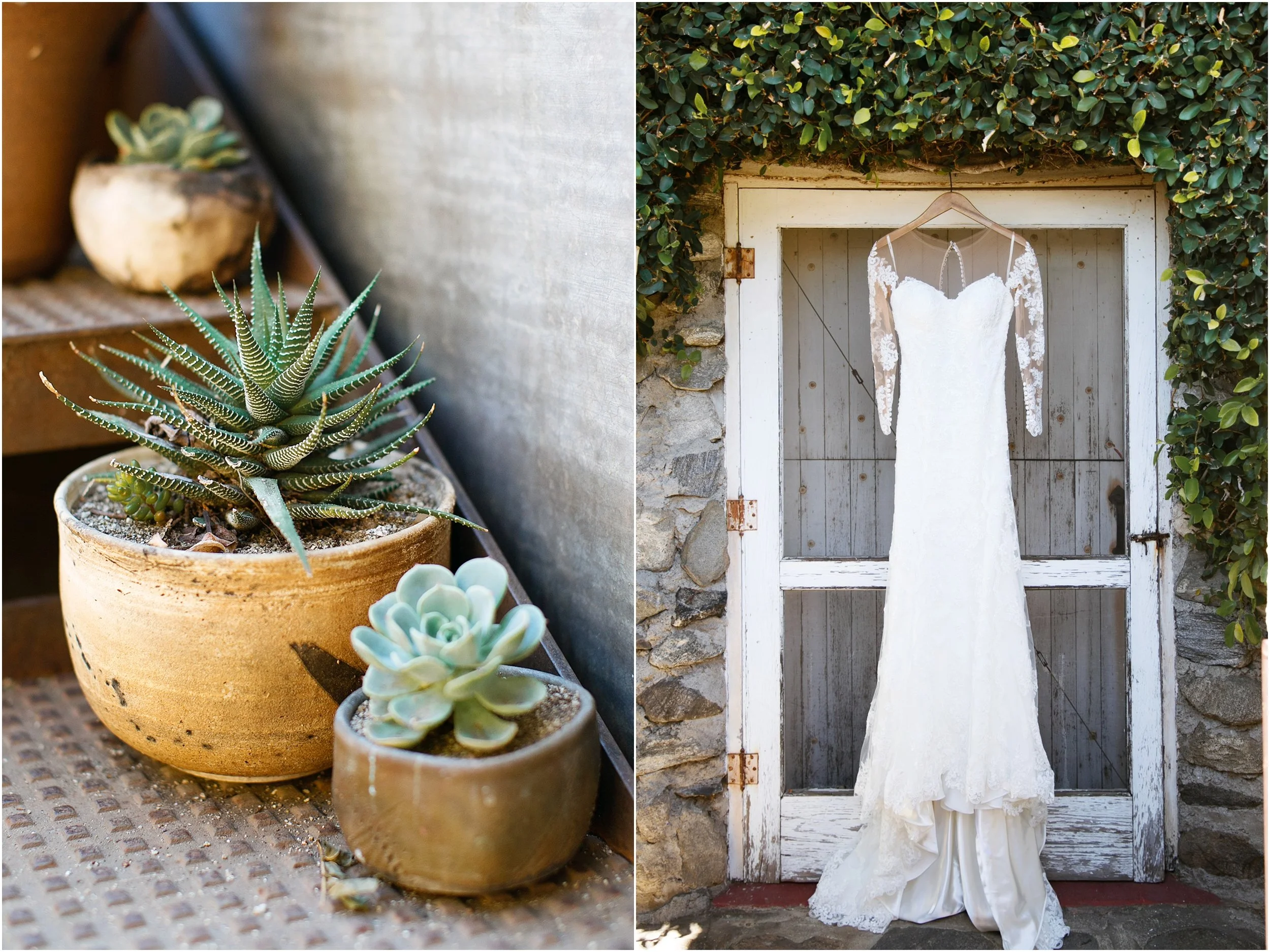 STOMPING GROUND VINEYARD WEDDING MONICA + DAVID — MANDI LYNN PHOTO