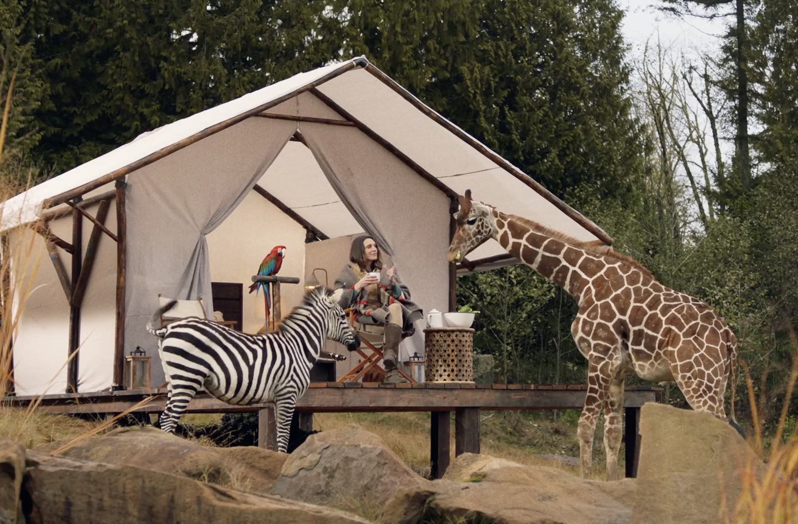 Screen Shot 2022-01-26 at 2.46.55 PM.png