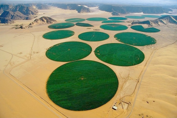 Irrigation in the desert.