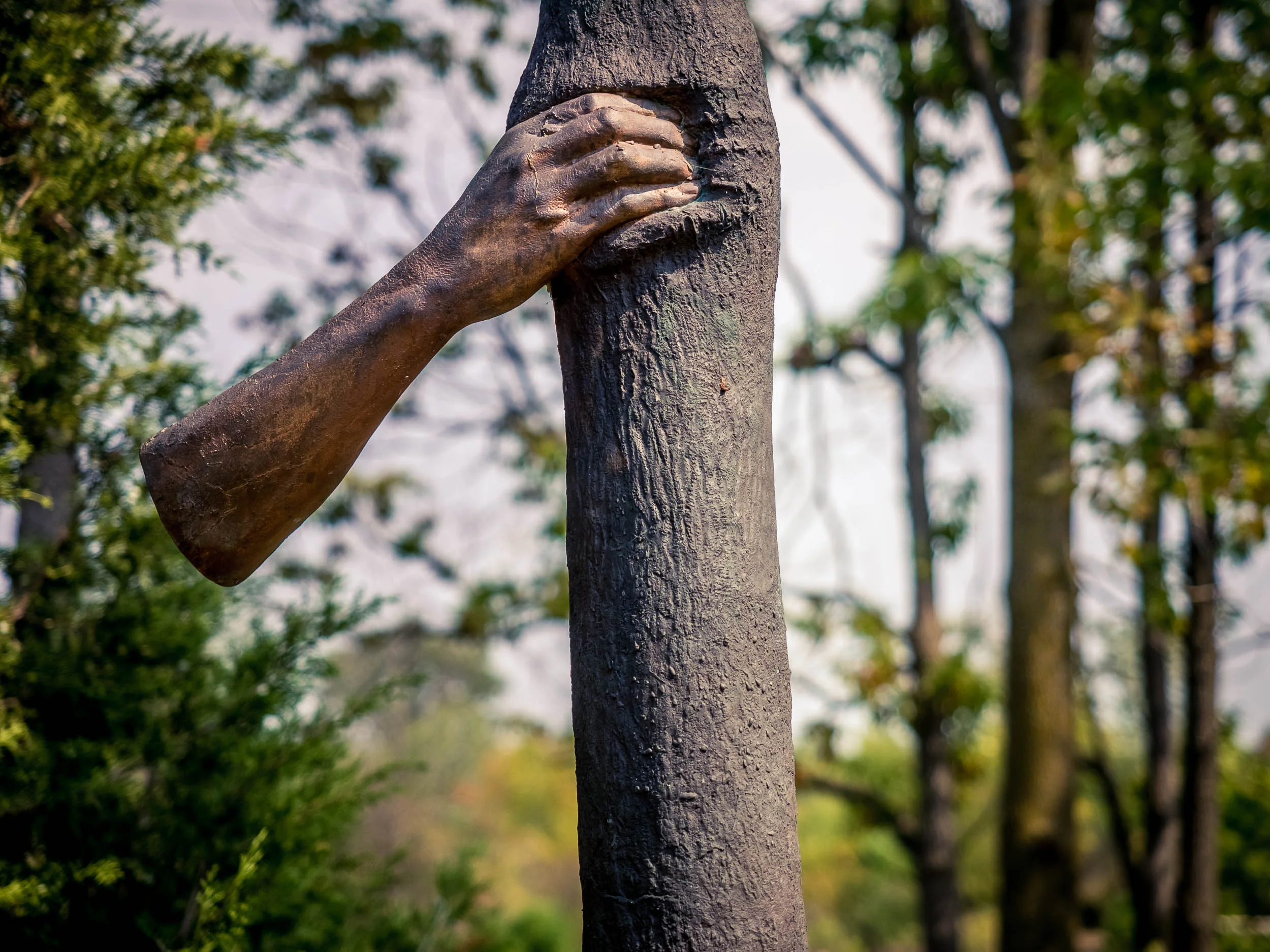 A helping hand