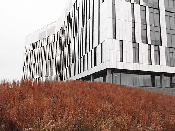 Cerner Innovations Campus