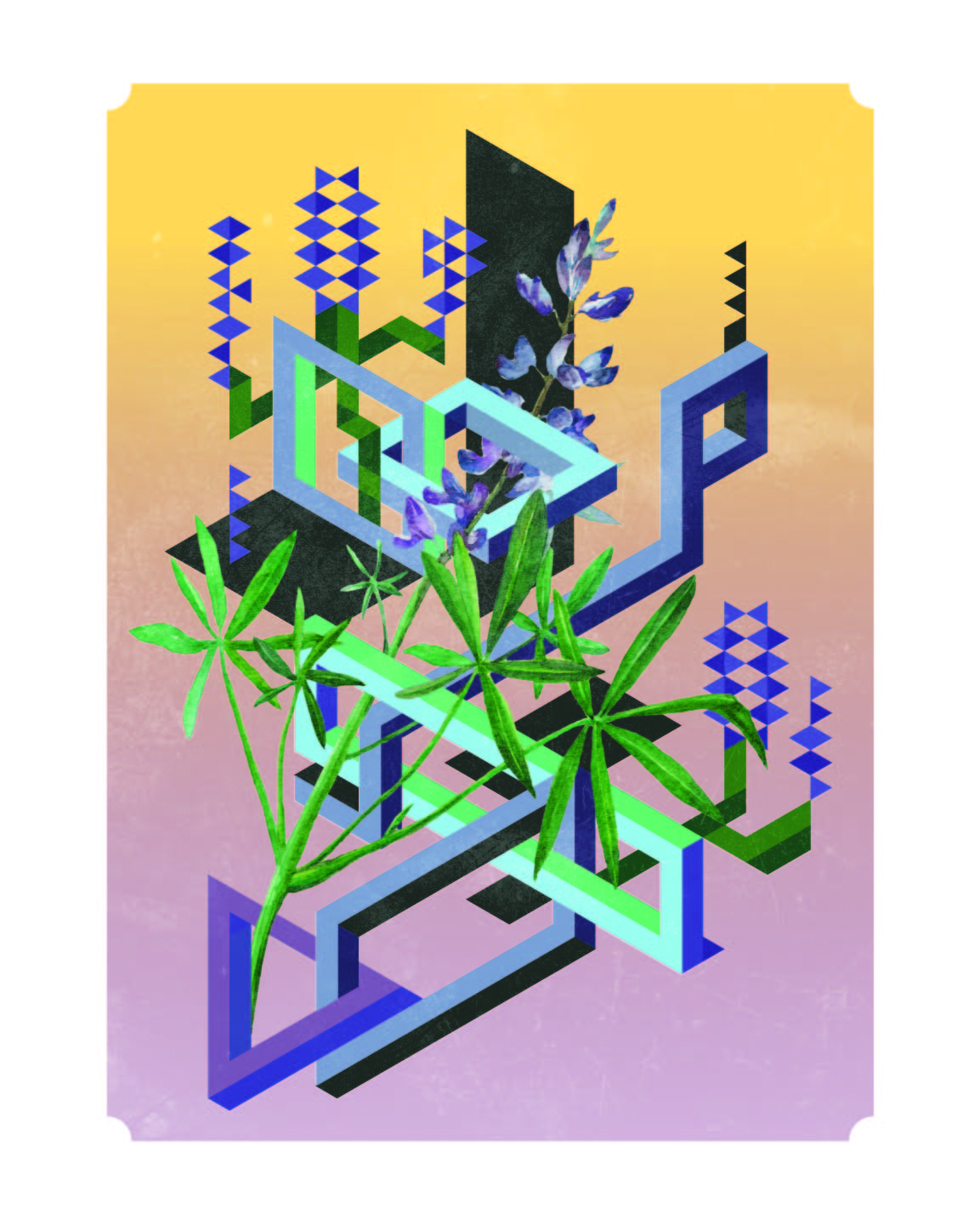 Isobotanical: Bluebonnet