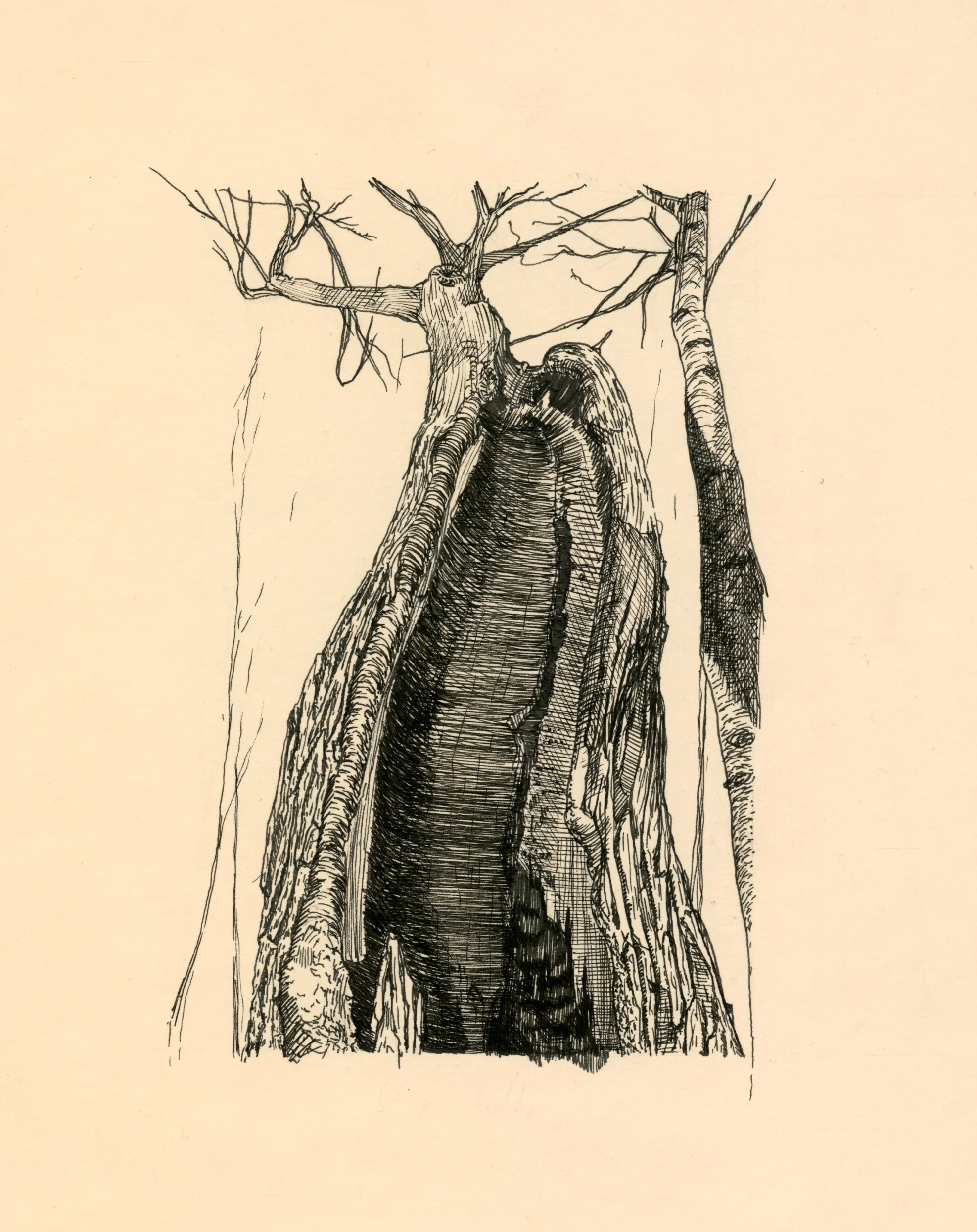 sketch022.jpg