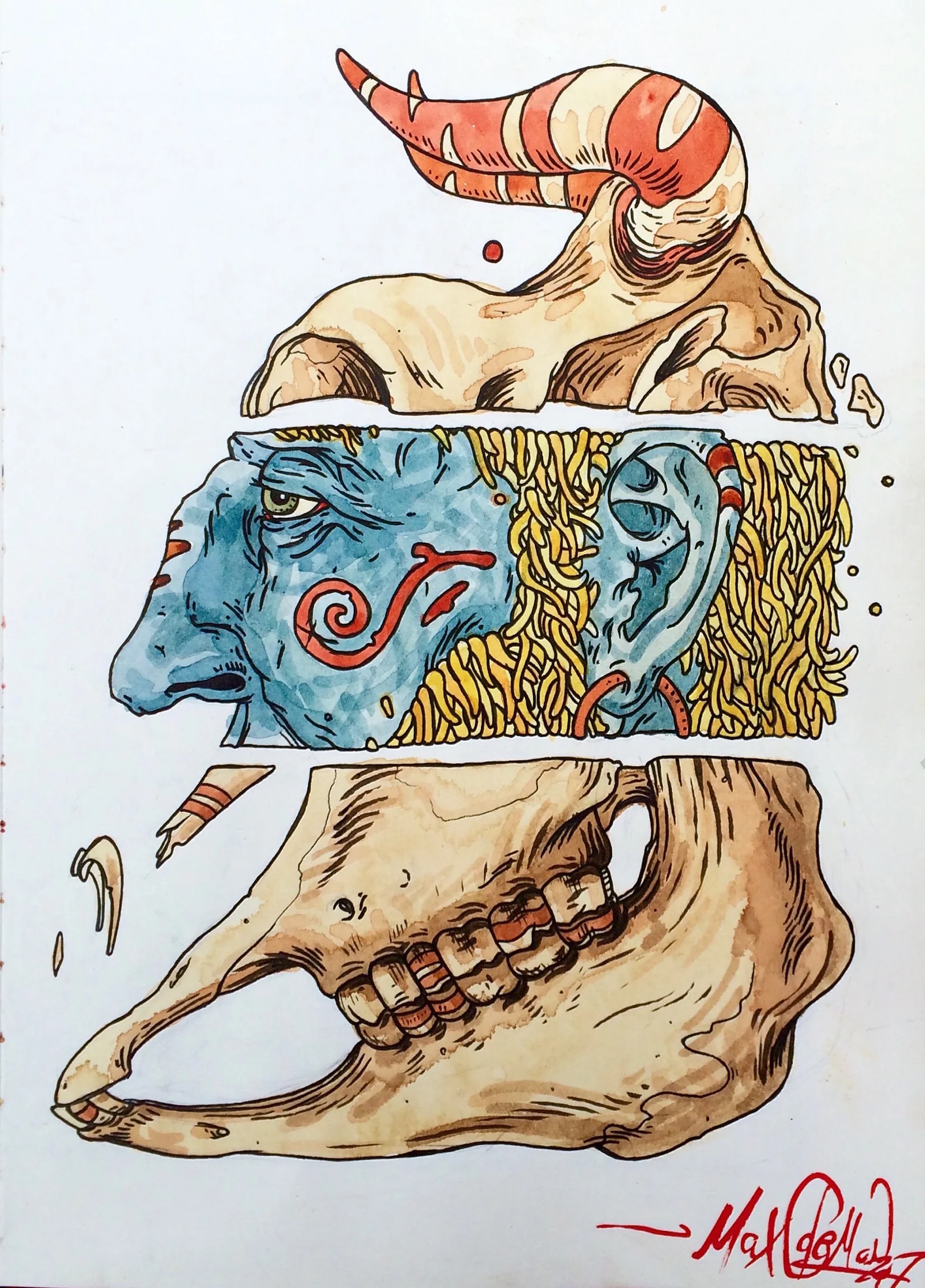 Divided Head.jpg