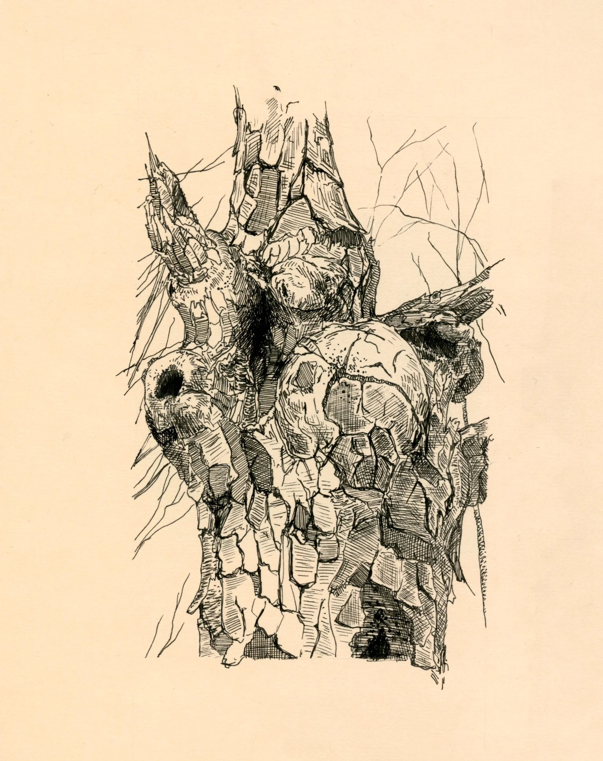 sketch023.jpg