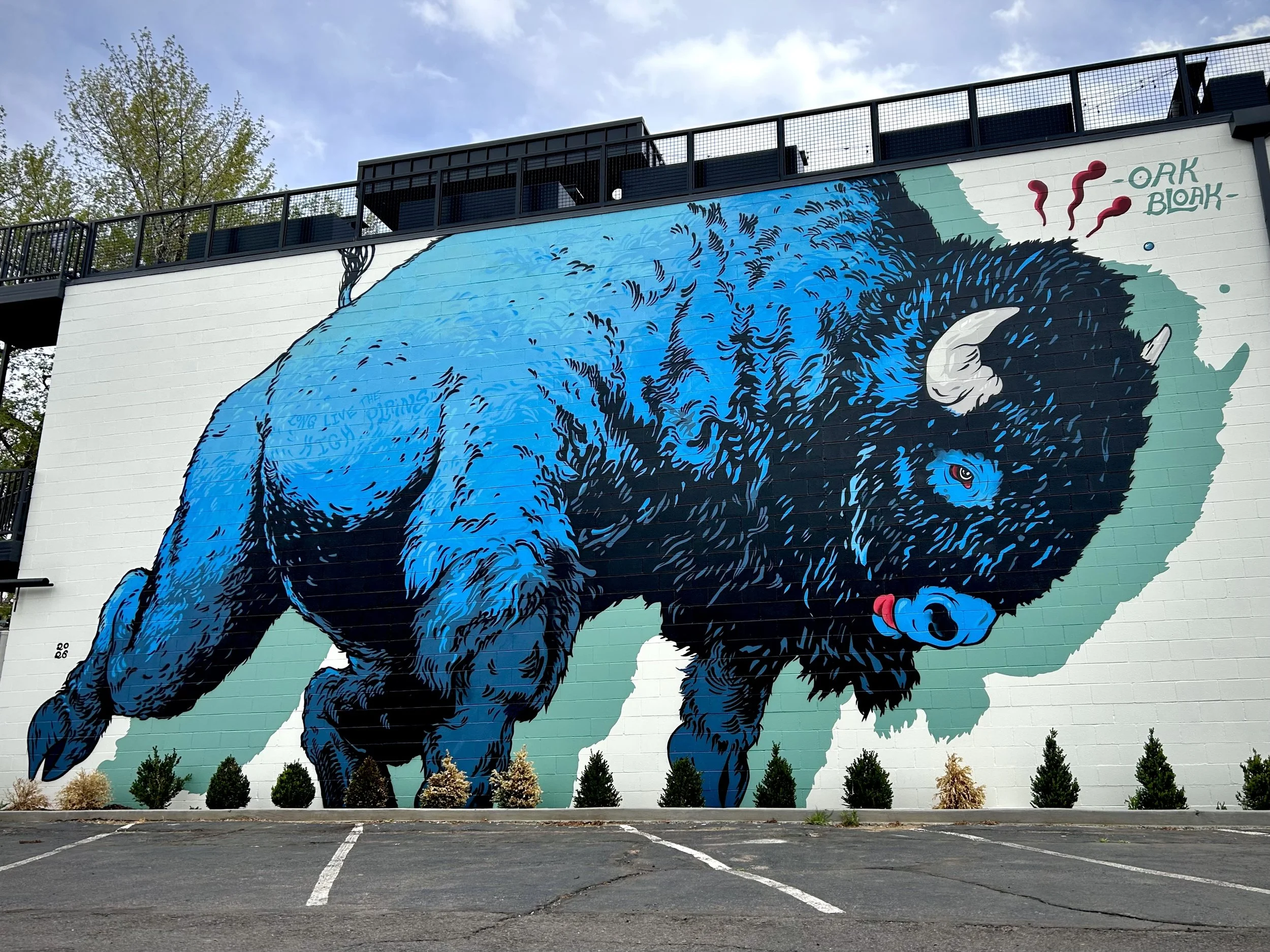 Big BLue Littleton.jpg