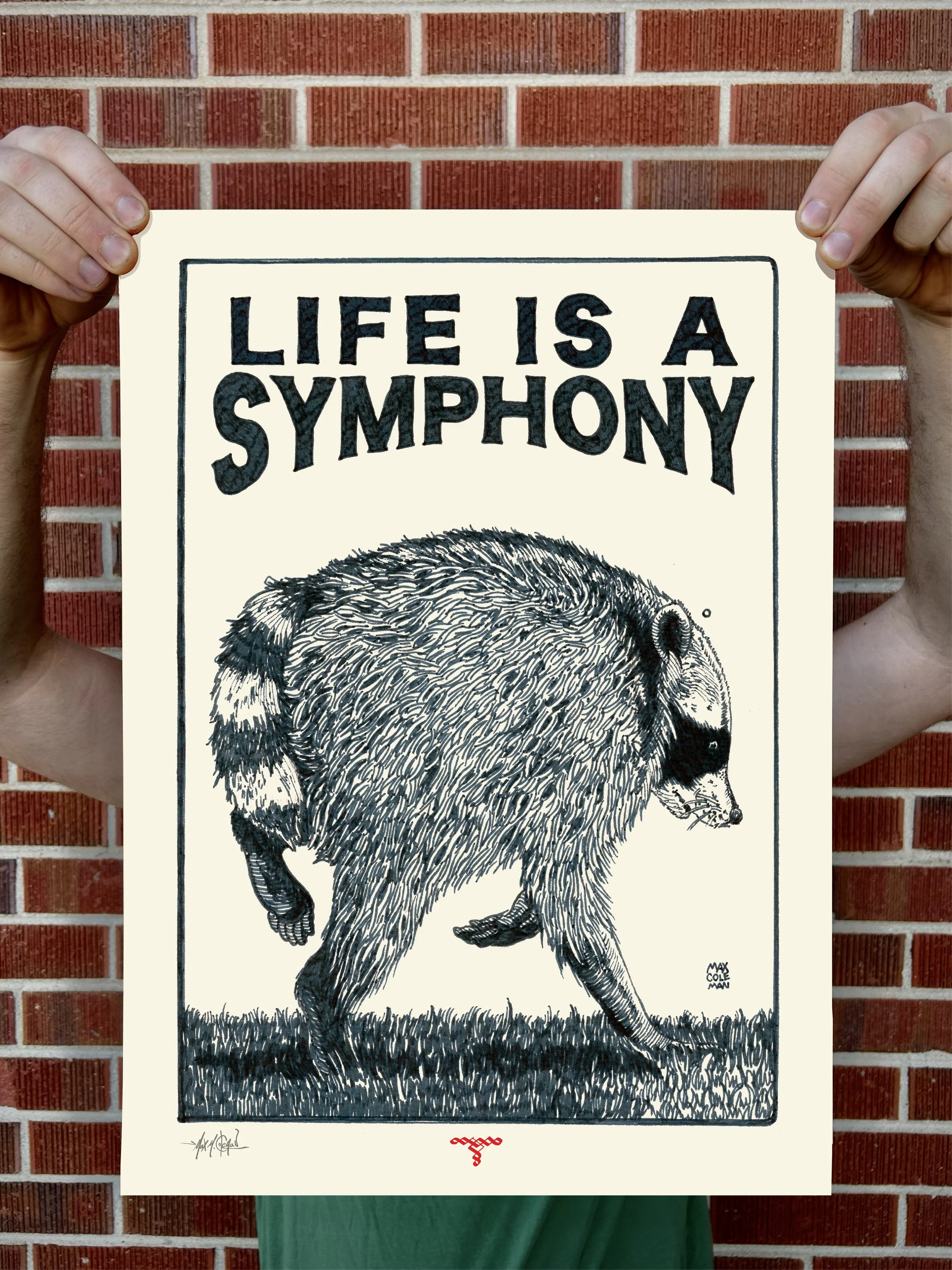 Jimmothy Racoon Print Insta-02.jpg