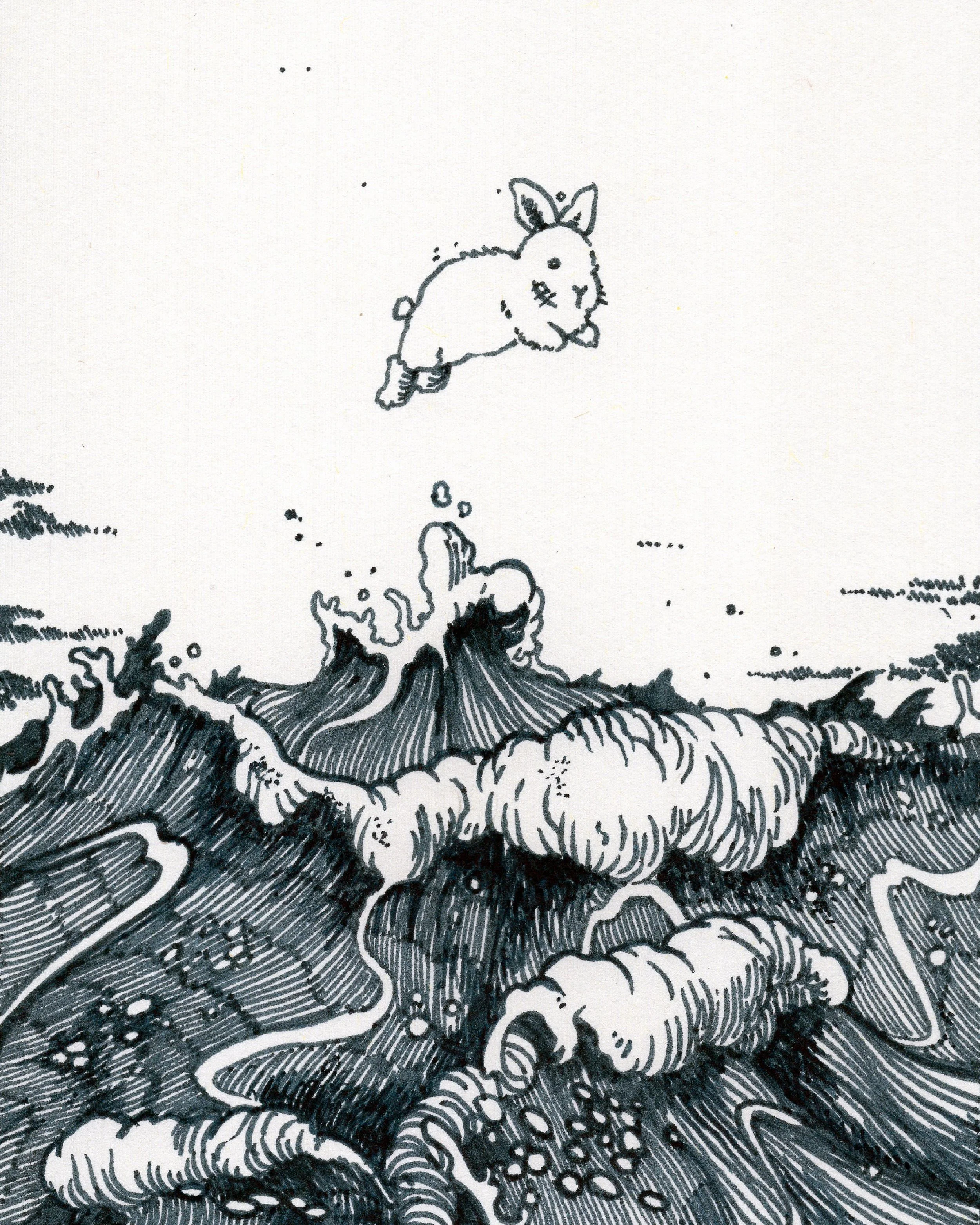 Rabbit over sea.jpg
