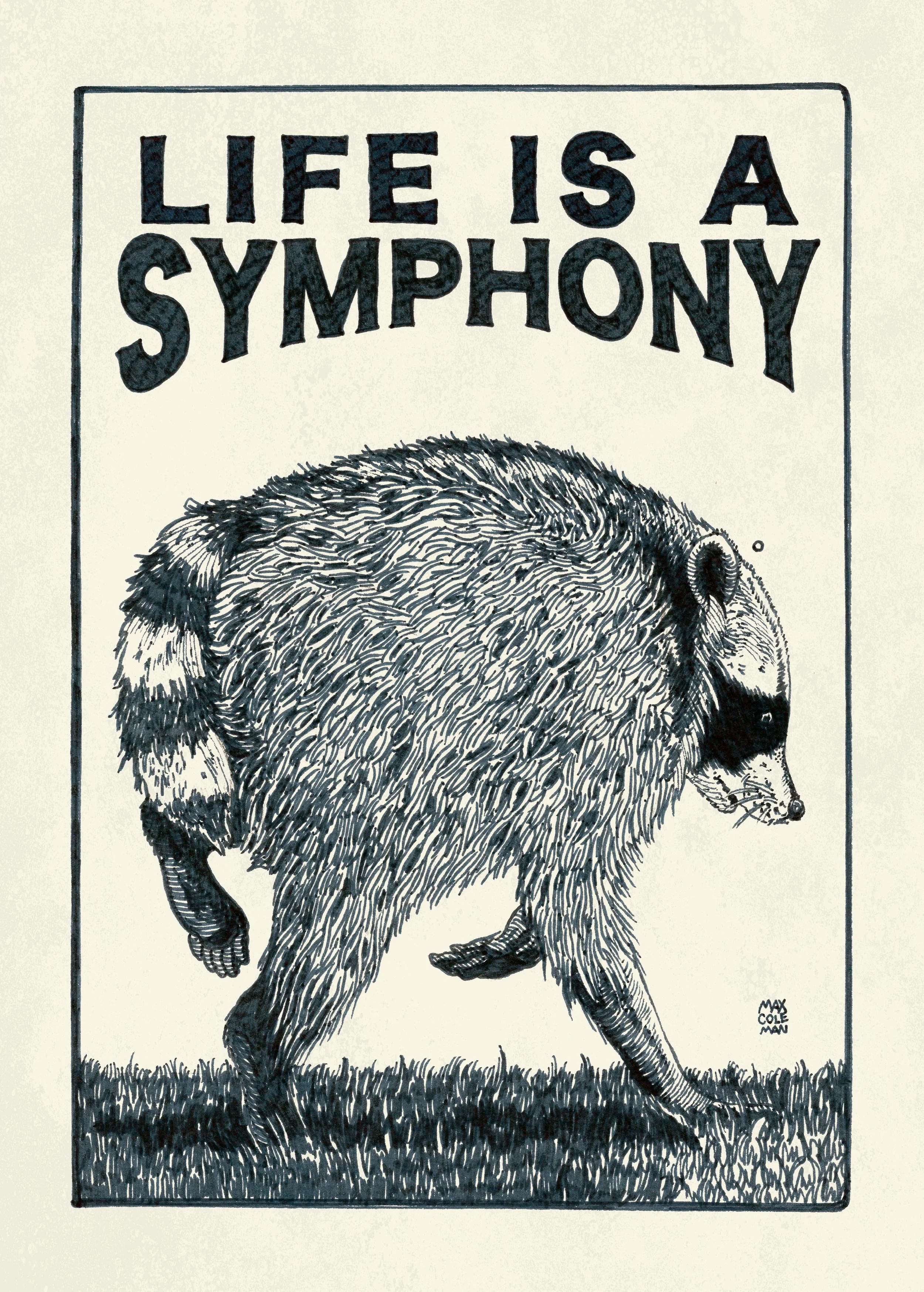 Jimmothy Racoon Print Insta-01.jpg