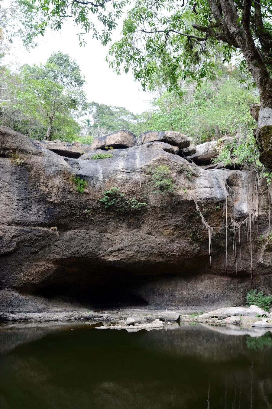 DSC_6009.jpg