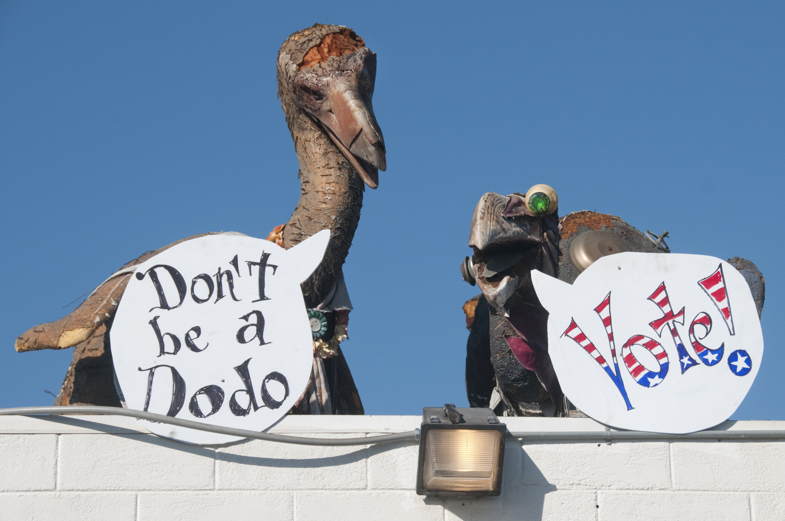 #15 Don't be a Dodo...