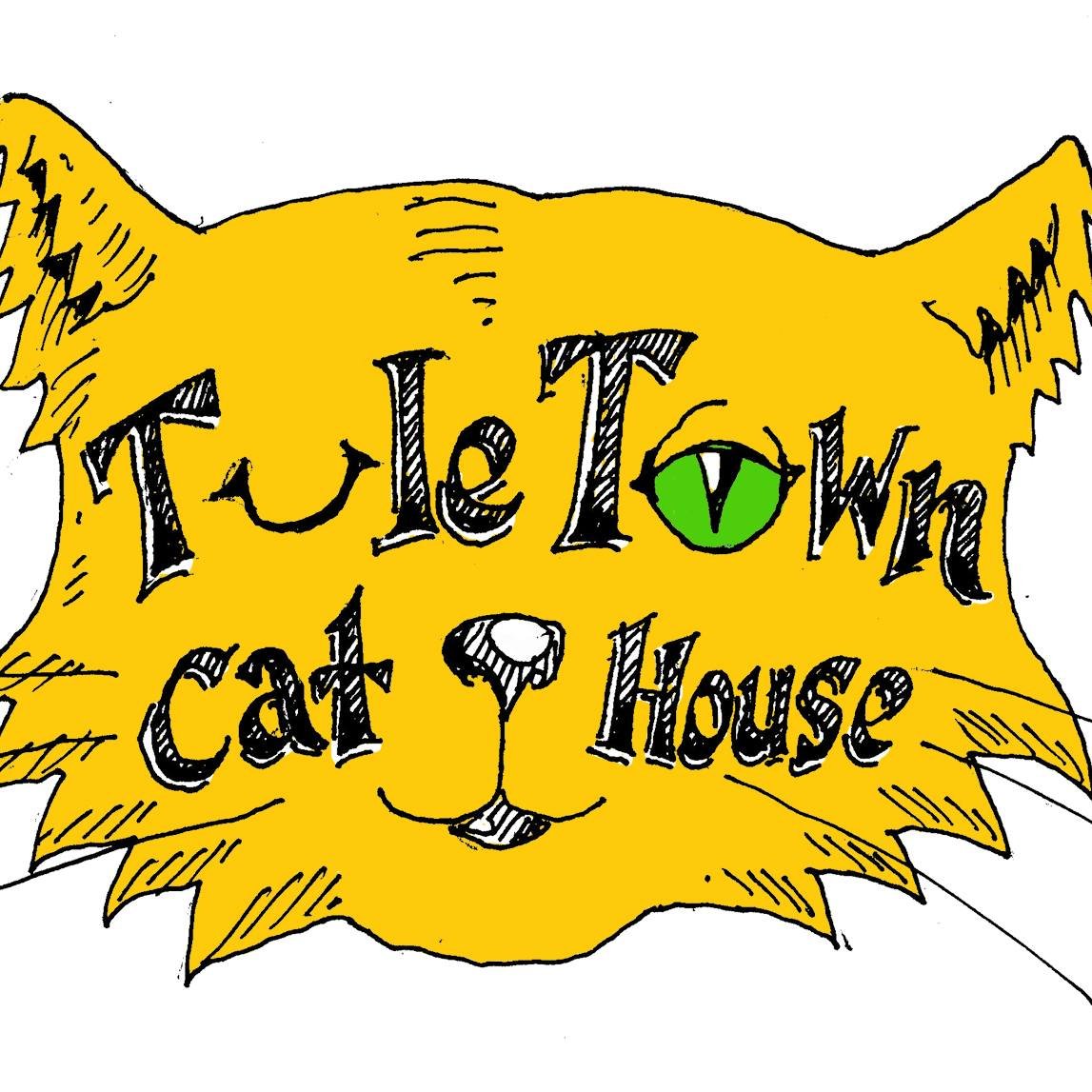 Tule Town Cat House.jpg