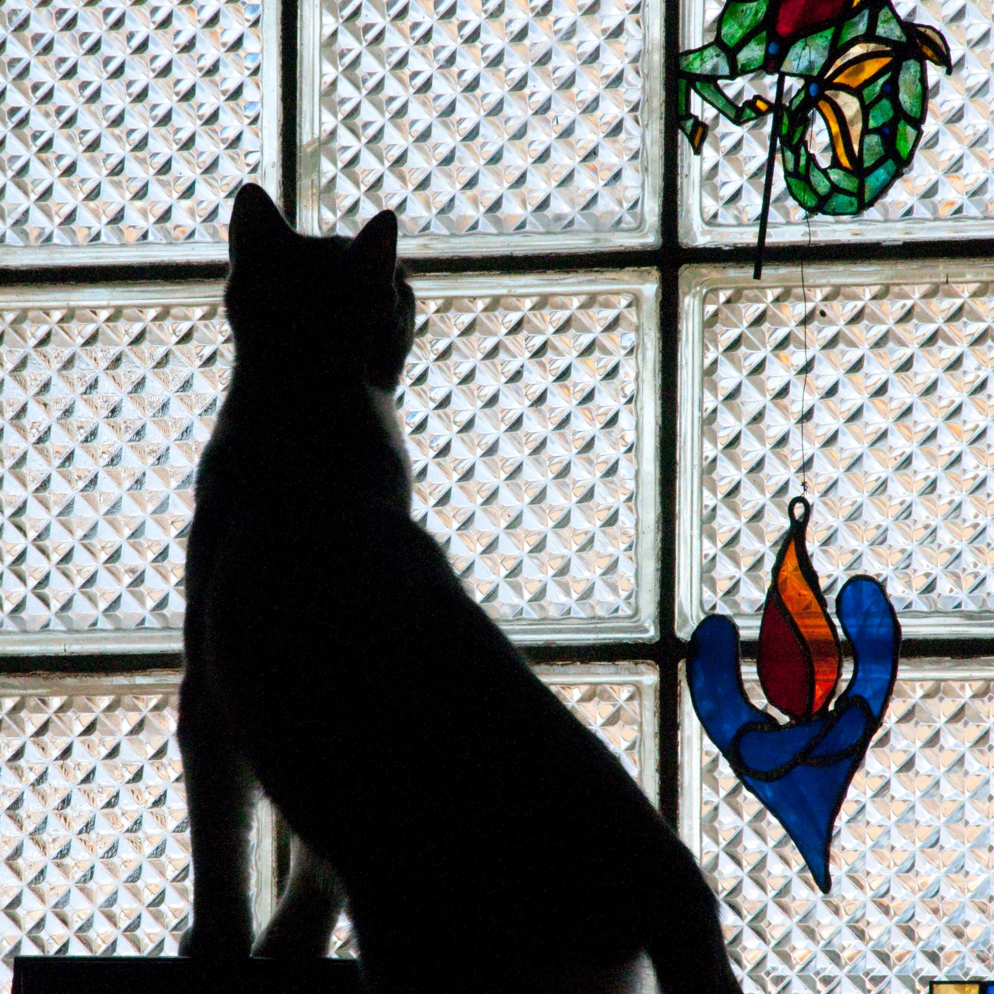 stained glass 7.jpg