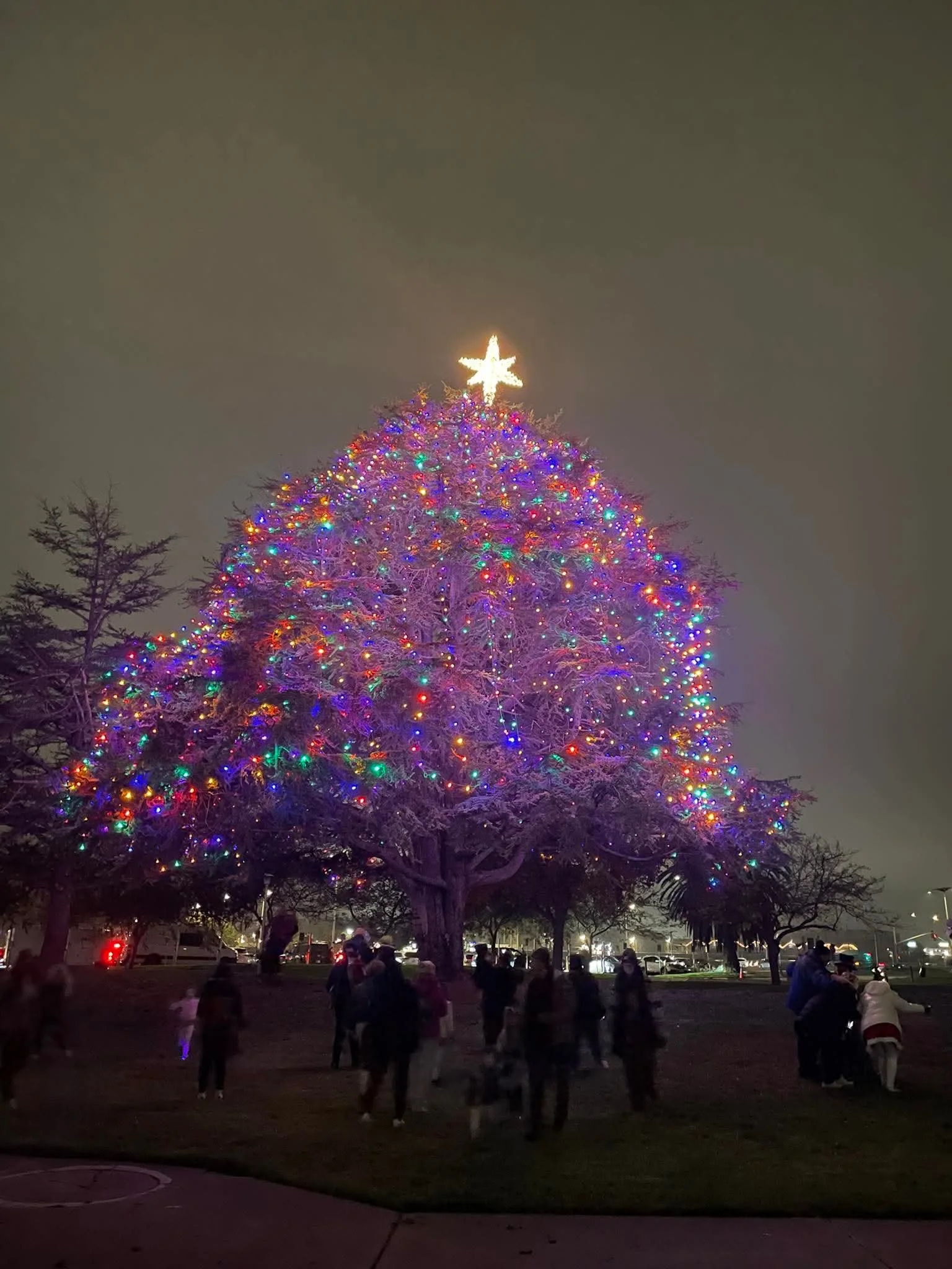 2025 Mad Hatter tree lighting.jpg