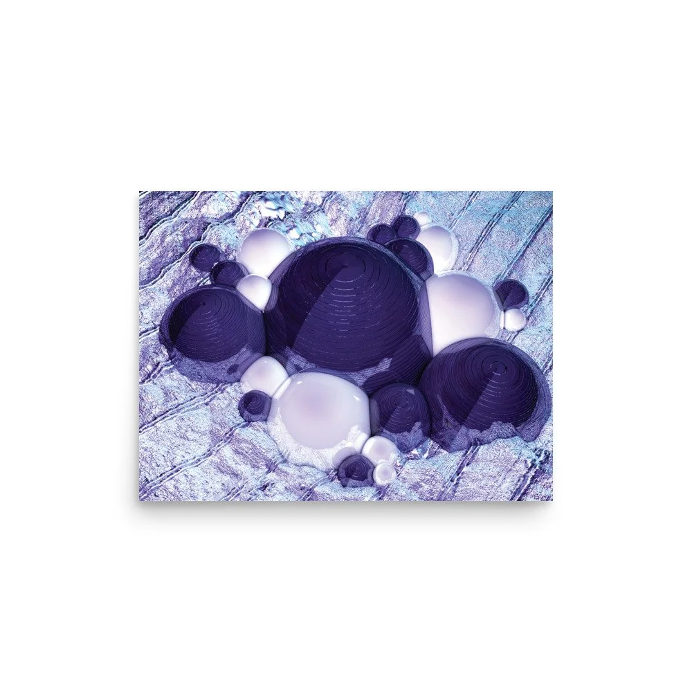 enhanced-matte-paper-poster-(in)-12x16-front-6391a9932714f.jpg