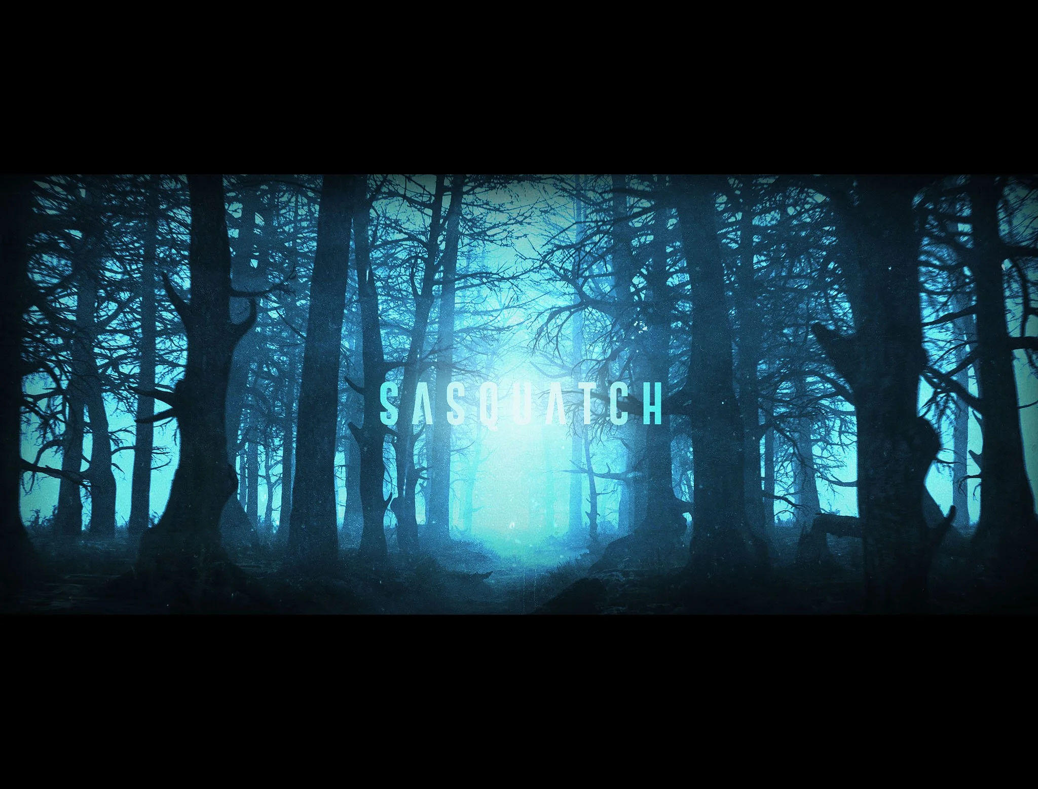 SASQUATCH_05.jpg