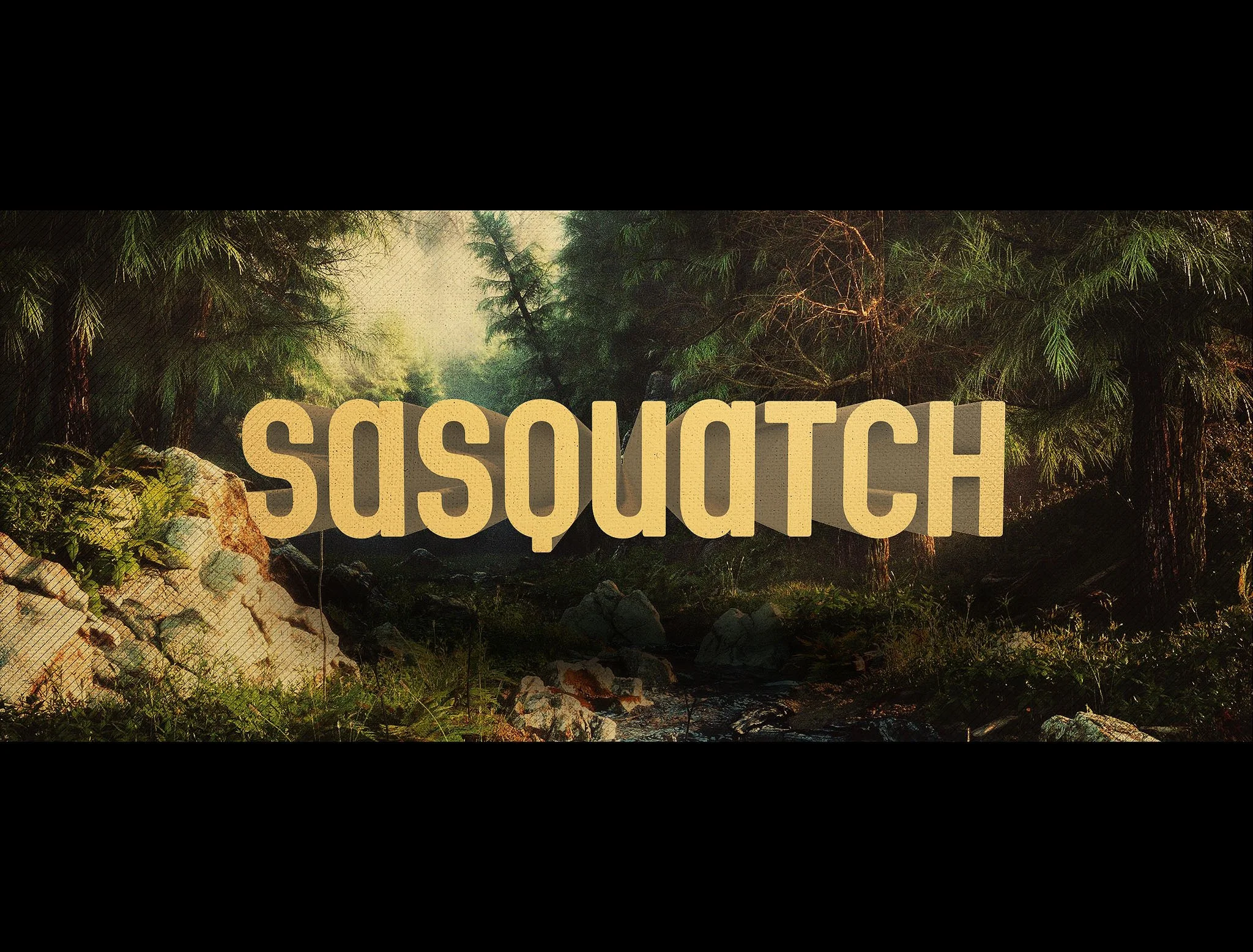 SASQUATCH_08.jpg
