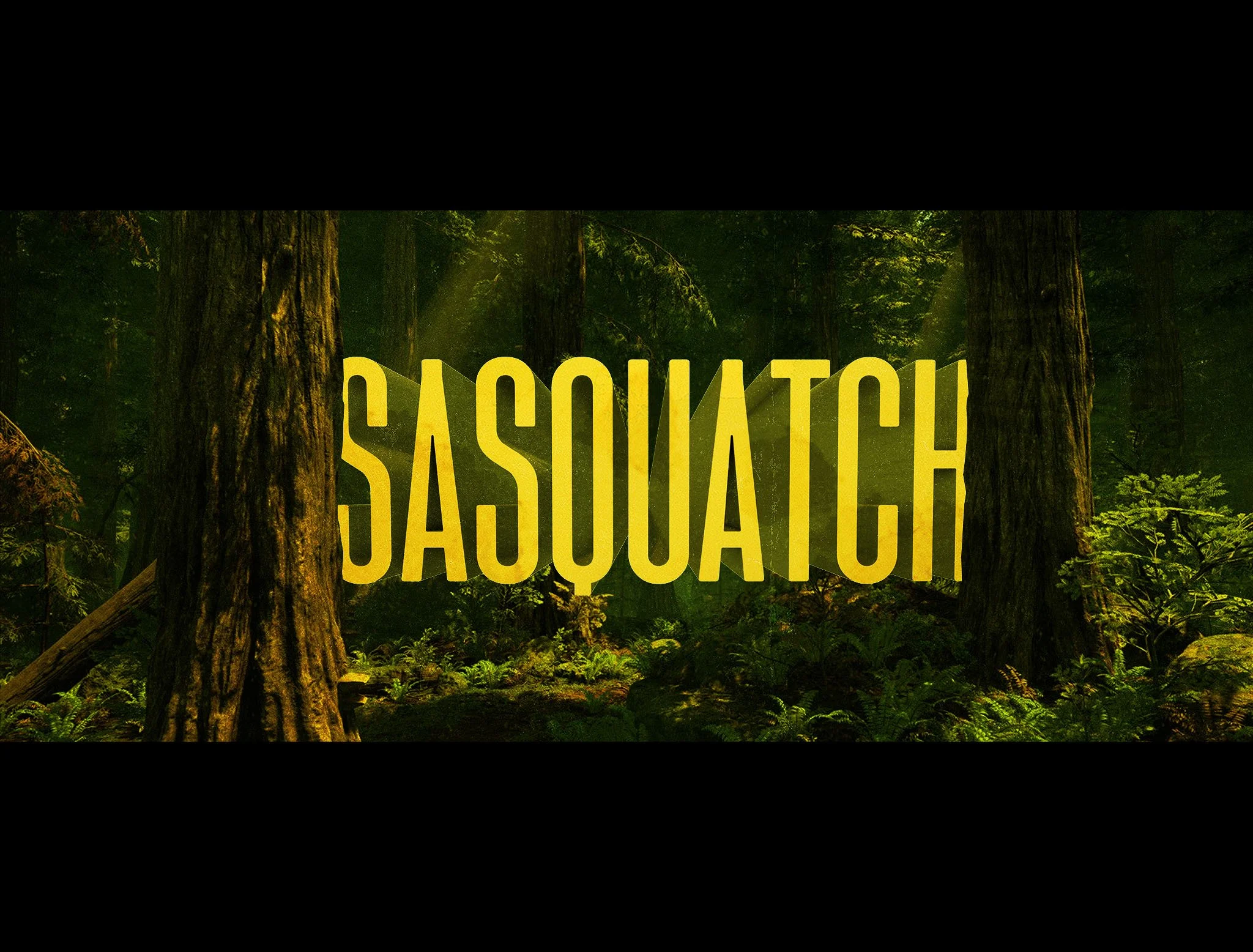 SASQUATCH_09.jpg