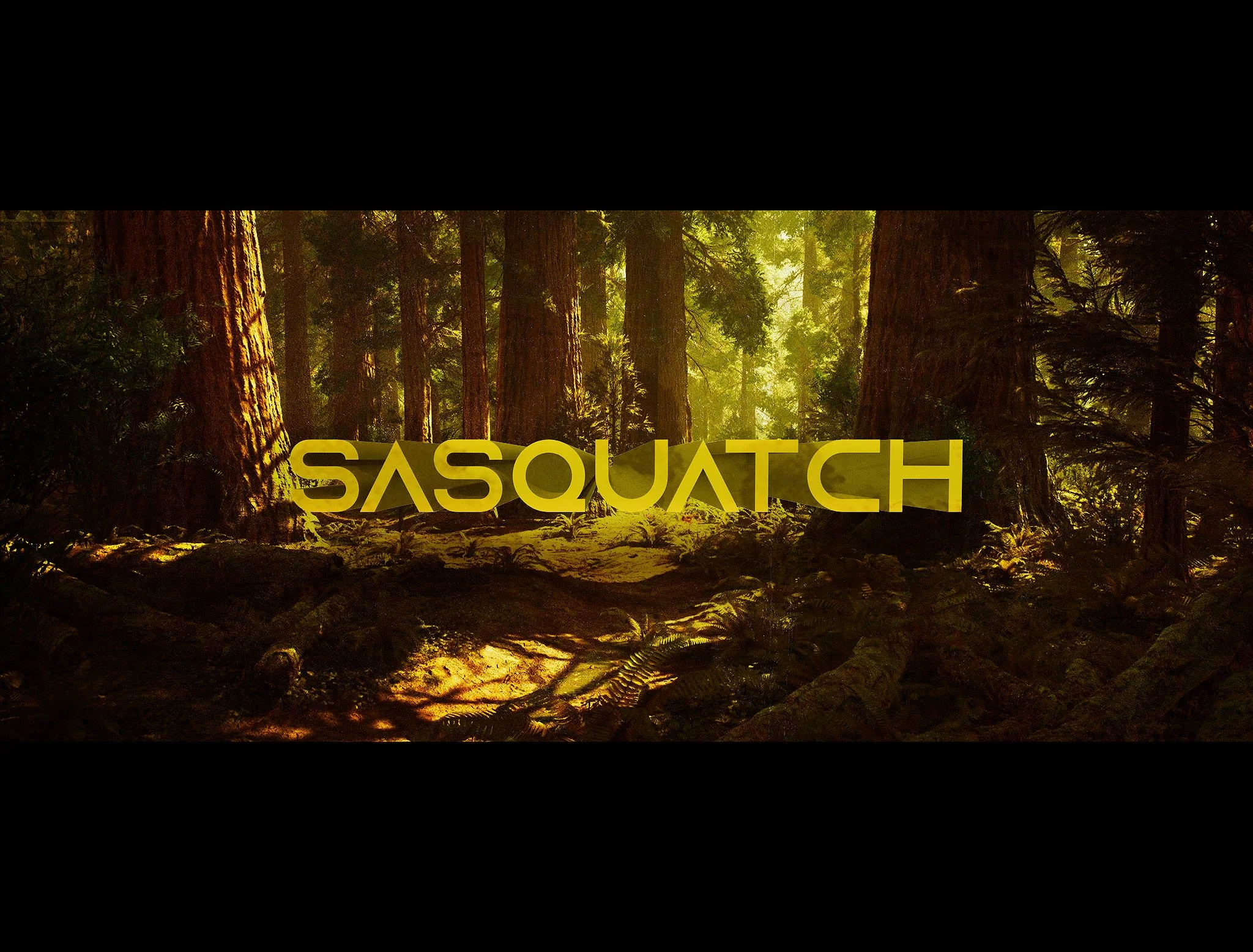 SASQUATCH_10.jpg