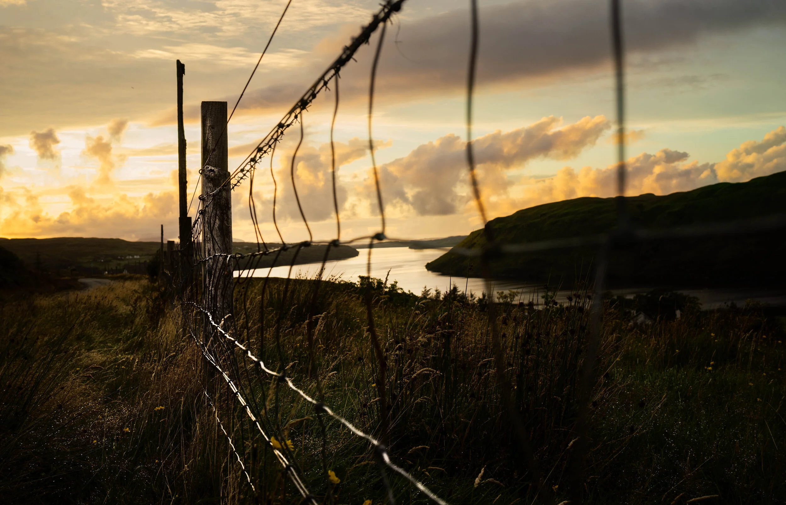 _DSC1942-Edit-Edit.jpg
