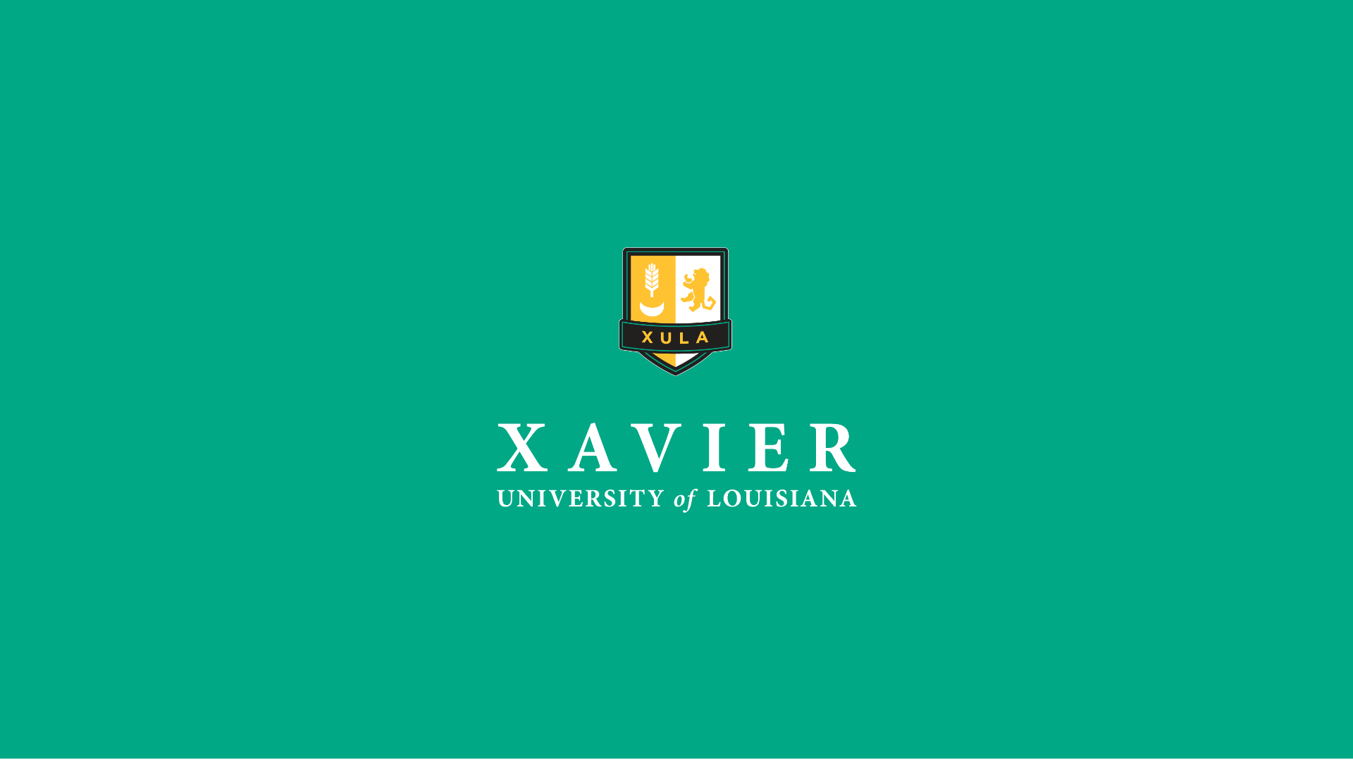 Brand Redesign
