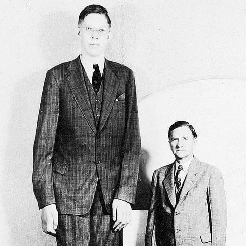 The Tallest Ever
