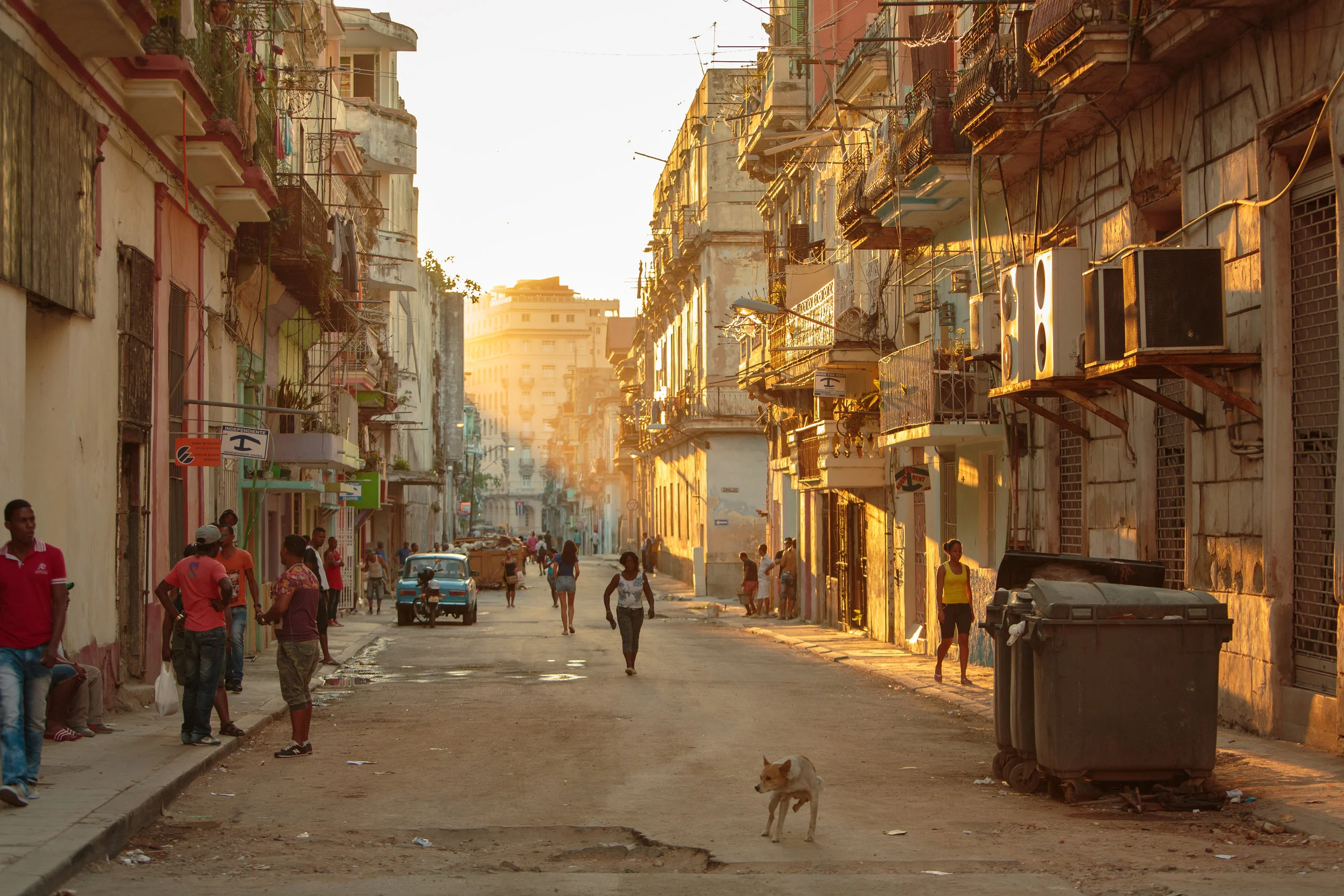 havana gold