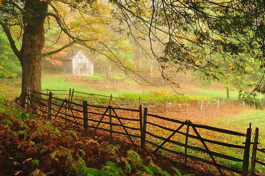 mystique--a-connecticut-autumn-scenic-thomas-schoeller.jpg