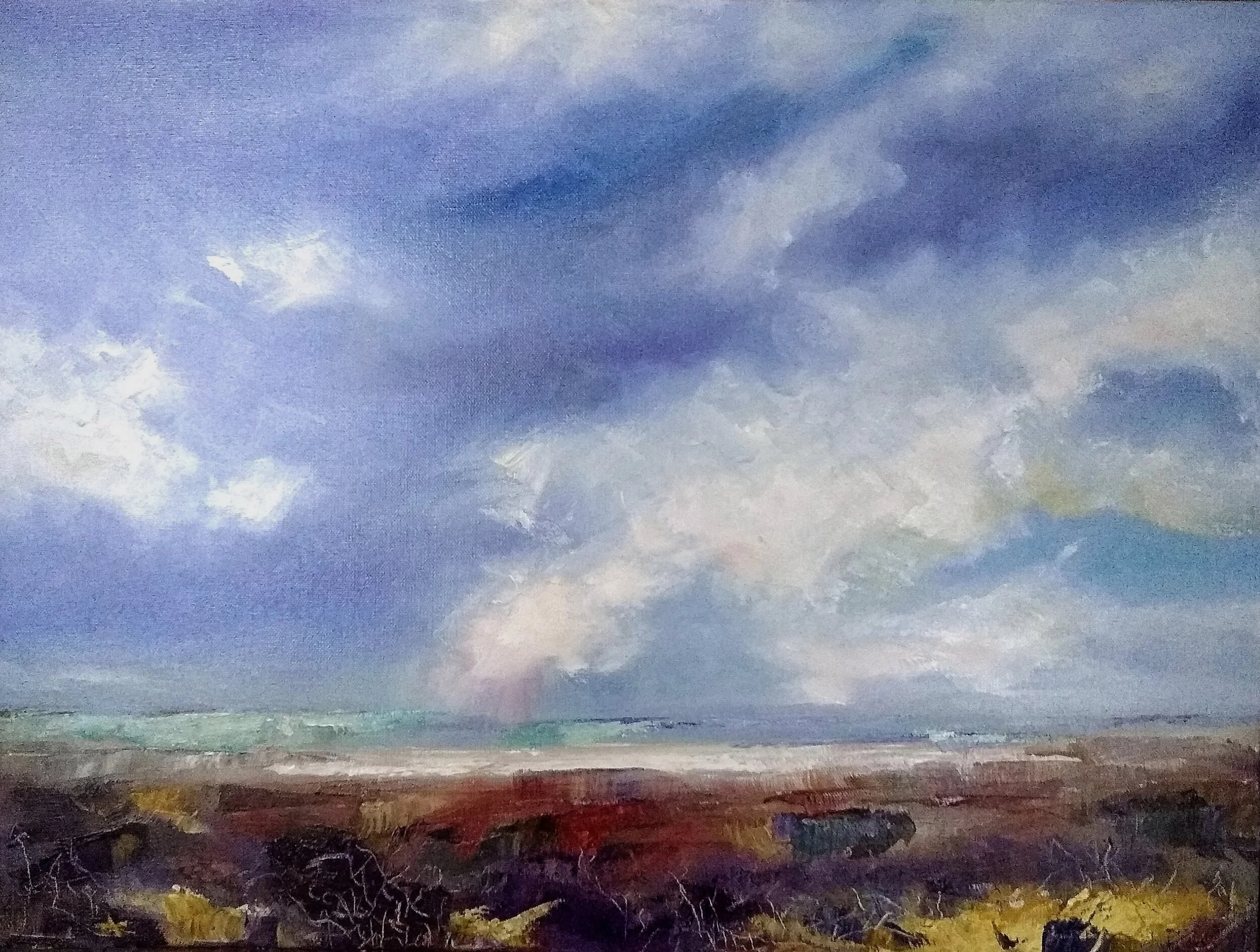 Rain South of Shiprock24”x 20” oil on canvas  2019  425.00When the light chases the storm.