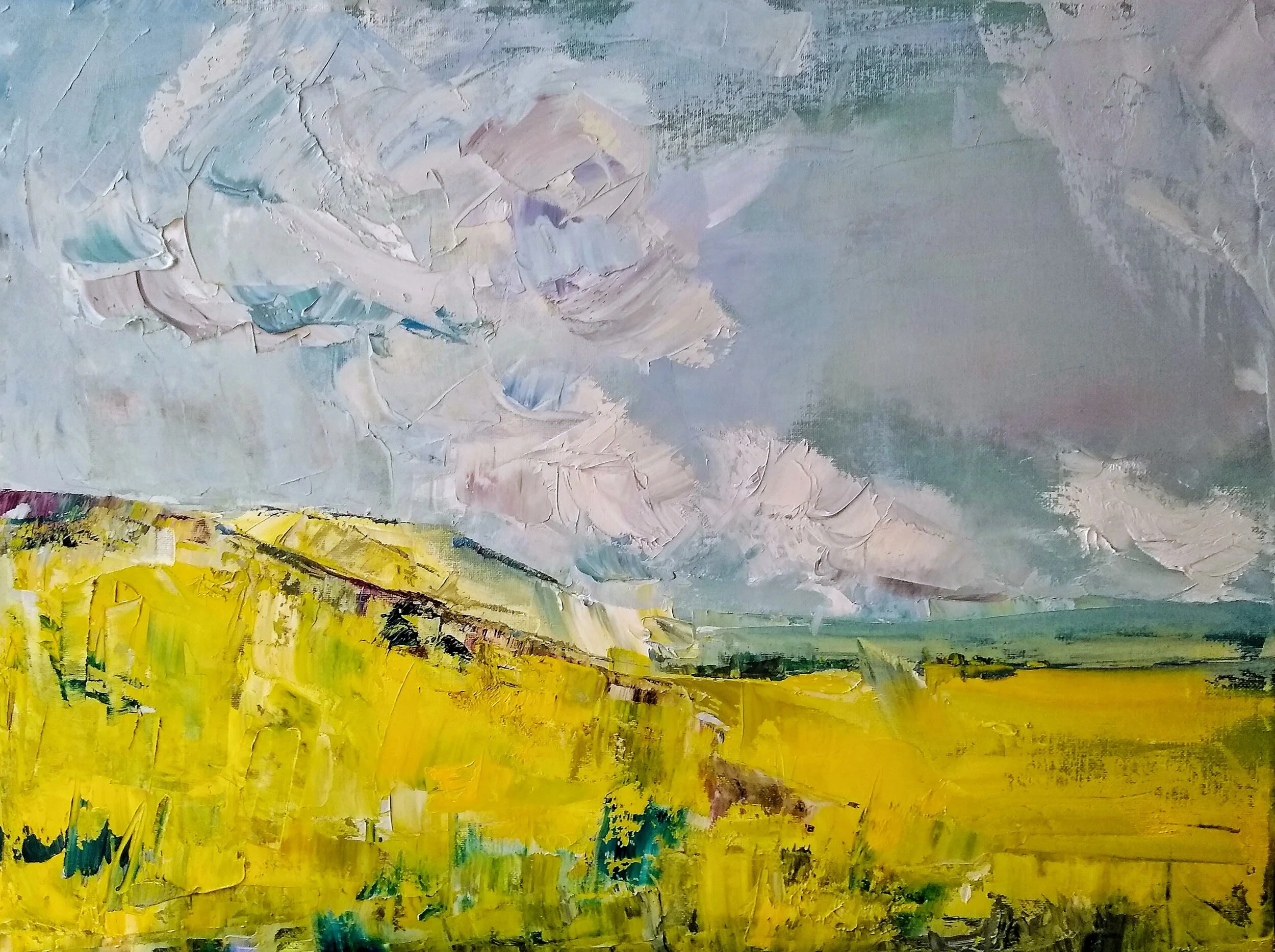 Near Welty11”x14” oil and cold wax on canvas    2019  550.00Miles of golden light on the Pawnee National Grasslands.