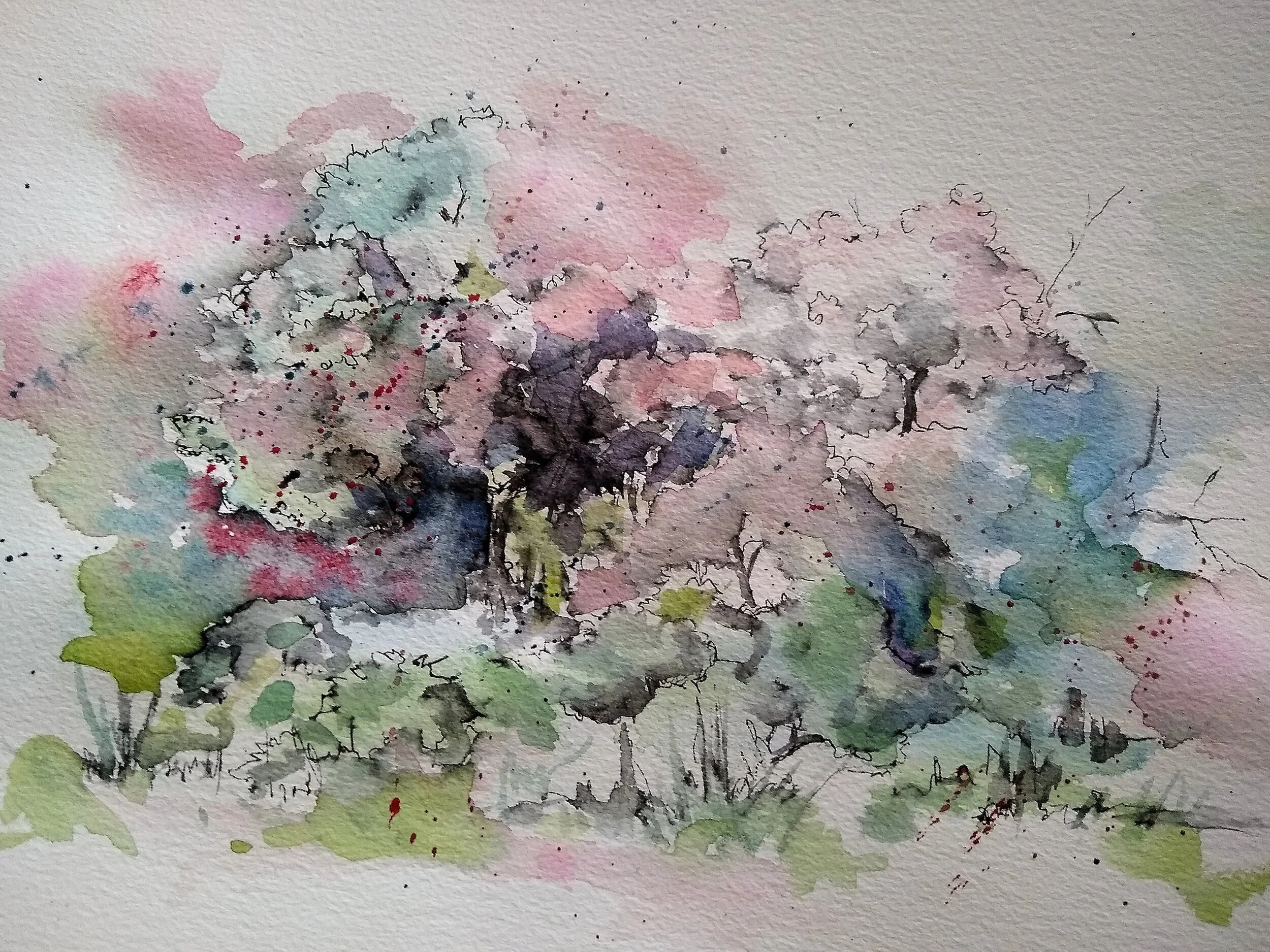 a little spring.jpeg