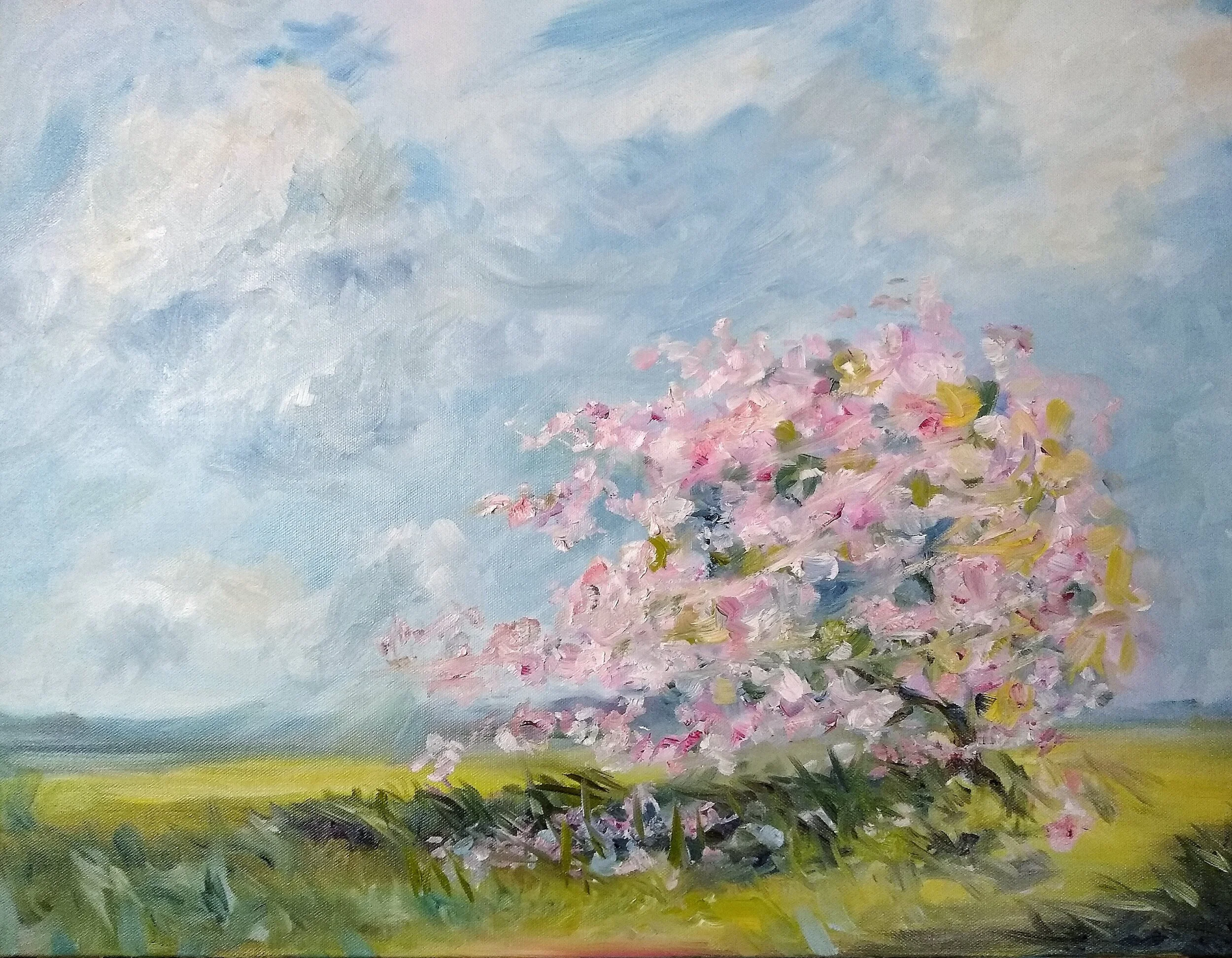 Somewhere Long Abandoned