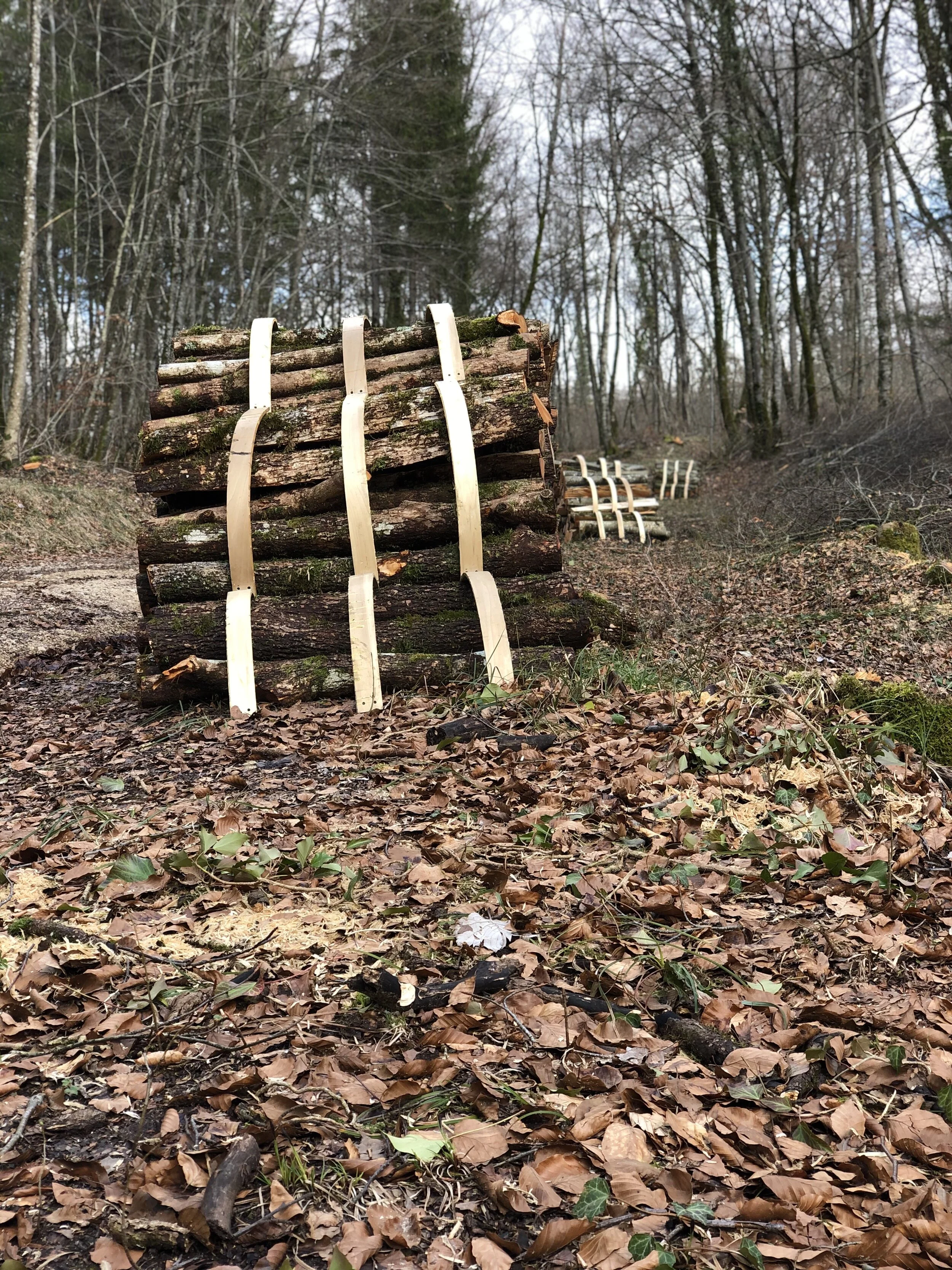 Modular Sculpture: Quadrant № 04