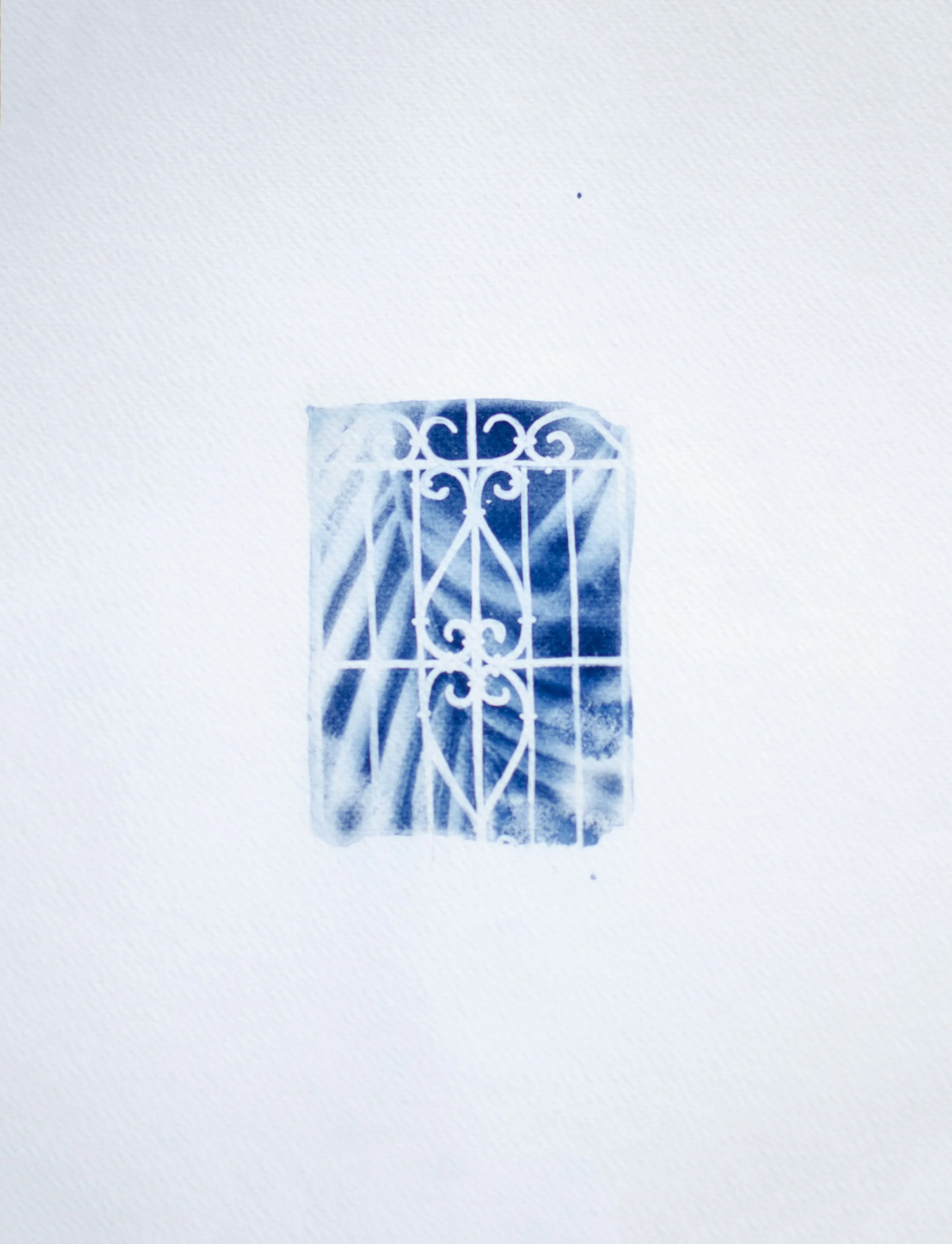 cyanotype_5.jpg