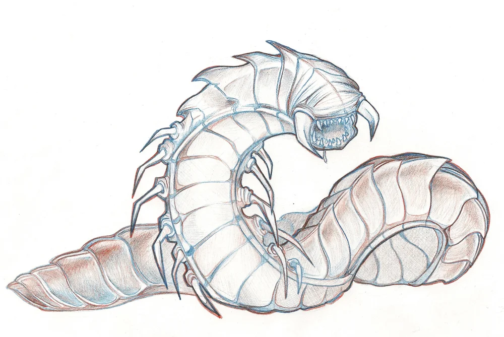 worm.jpg