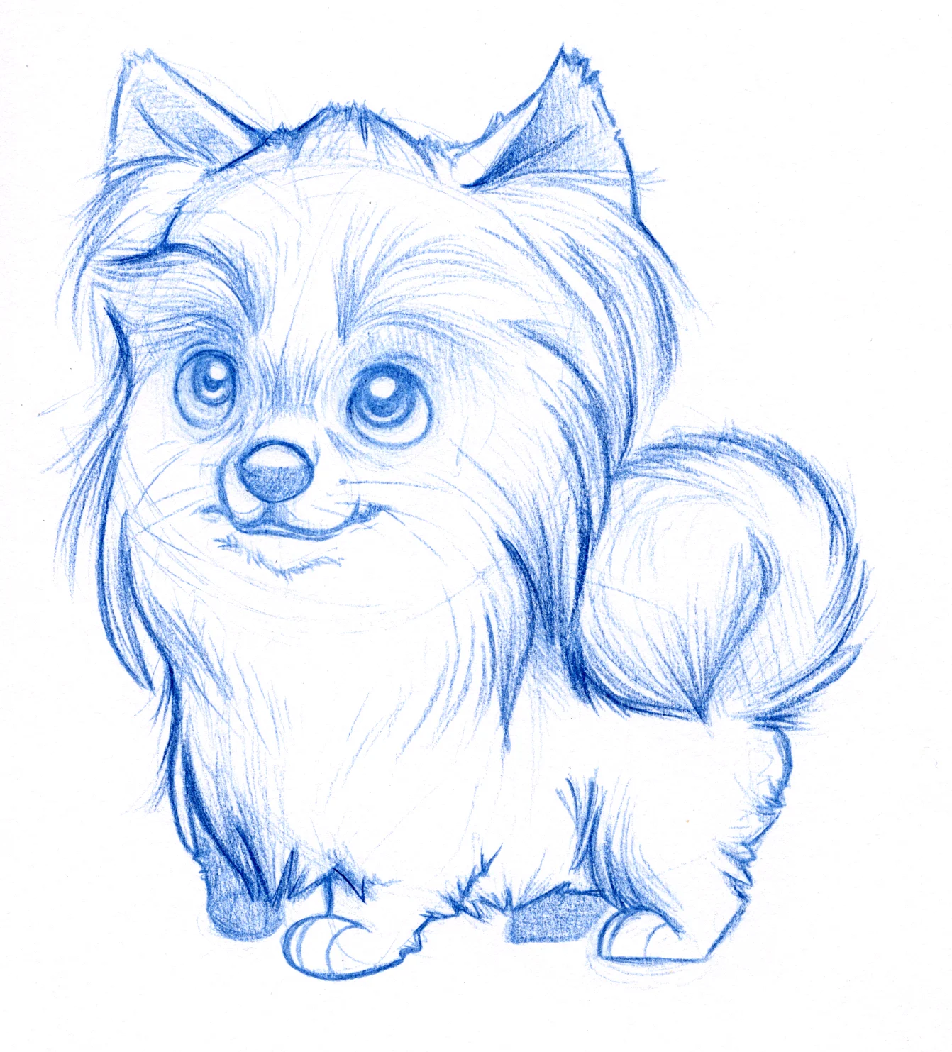 blue_pixl.jpg