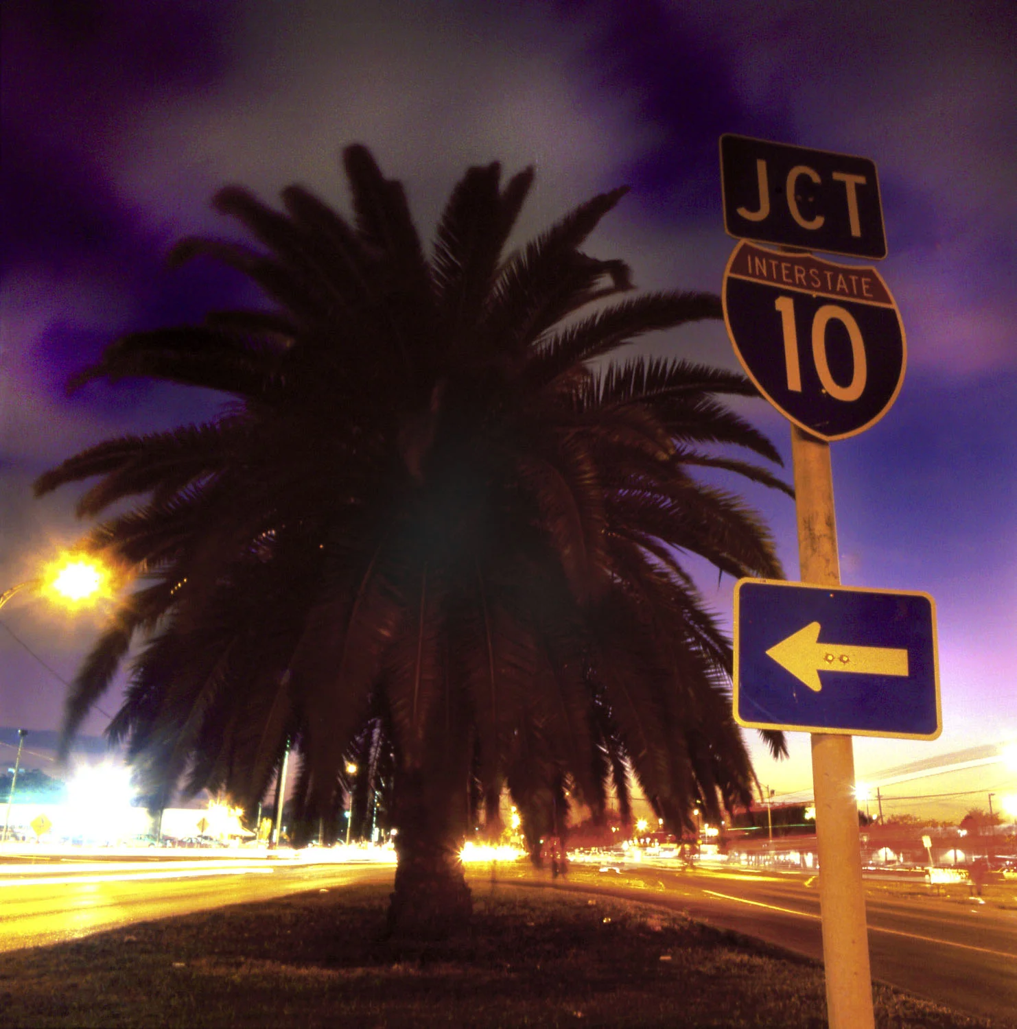 Carroltonpalm copy copy-zacksmith-photography.jpg