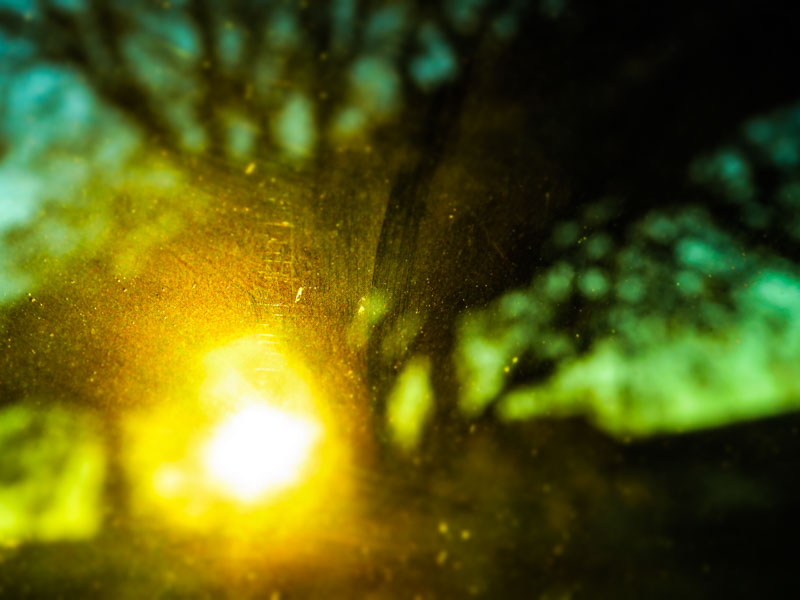 Being in focus has nothing to do with sharpness sometimes...