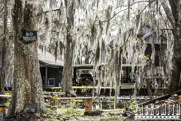 This was a VERY interesting background, but we felt it may be to intrusive w/ the NO TRESSPASSING...