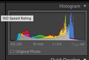 ...because i know you're wondering! f8 for max sharpness from Eye to Ear ya Hear?