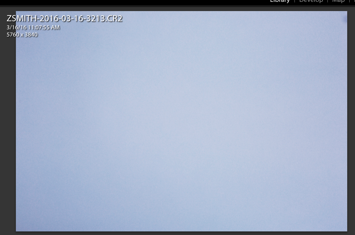 A full screen capture of my roll background. I will use this later when placing the final portraits