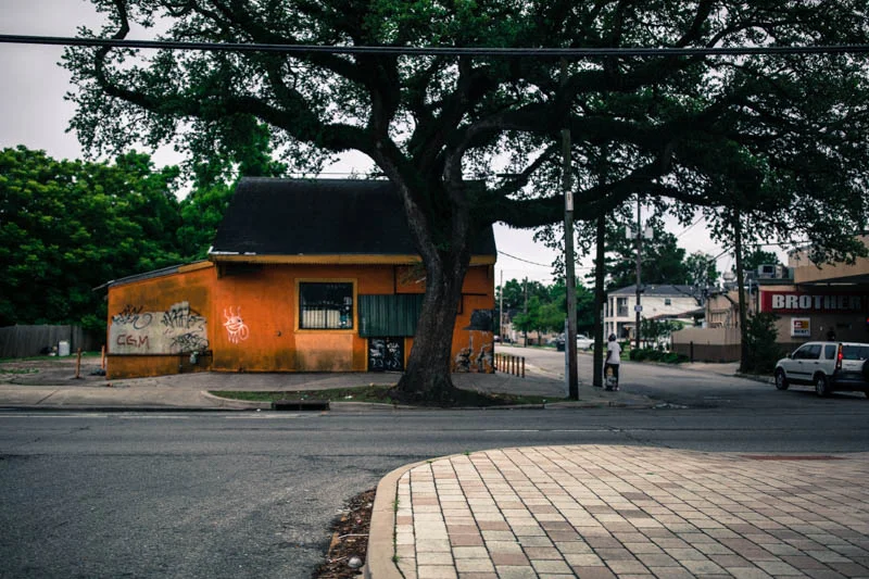 Zack Smith Photography New Orleans Tree street urban suburbs city graffiti
