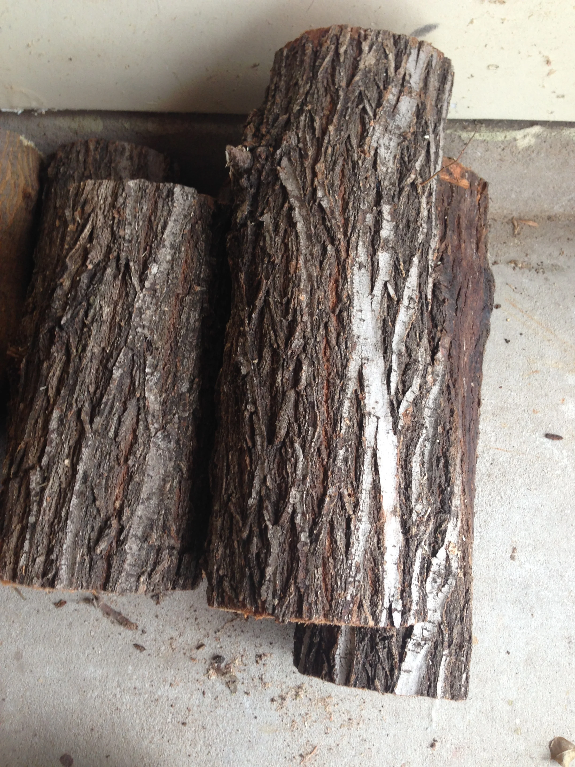 American Elm Logs