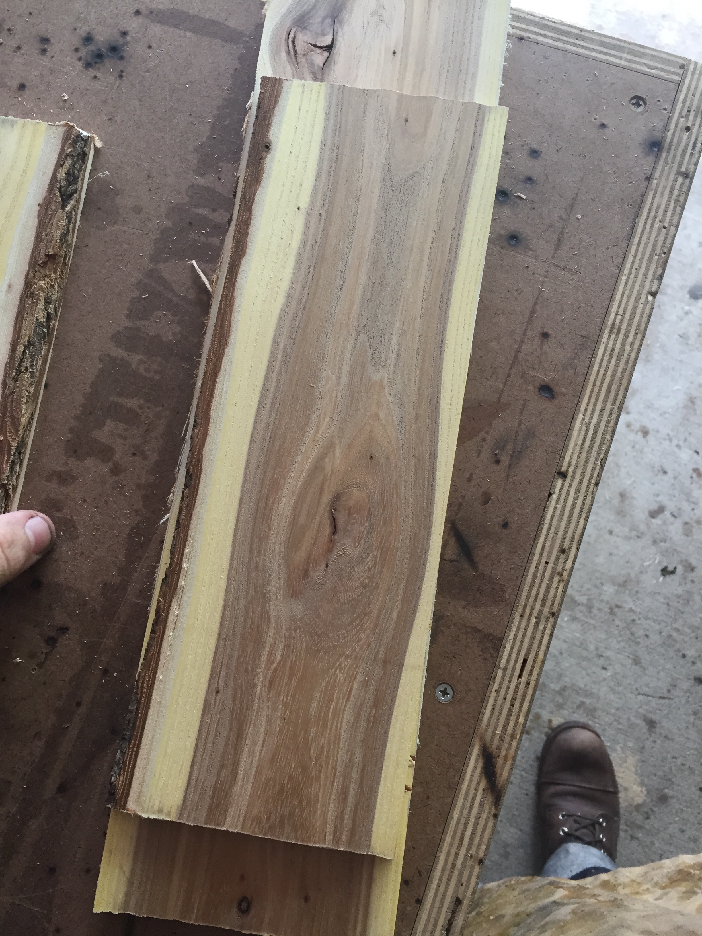 Heartwood