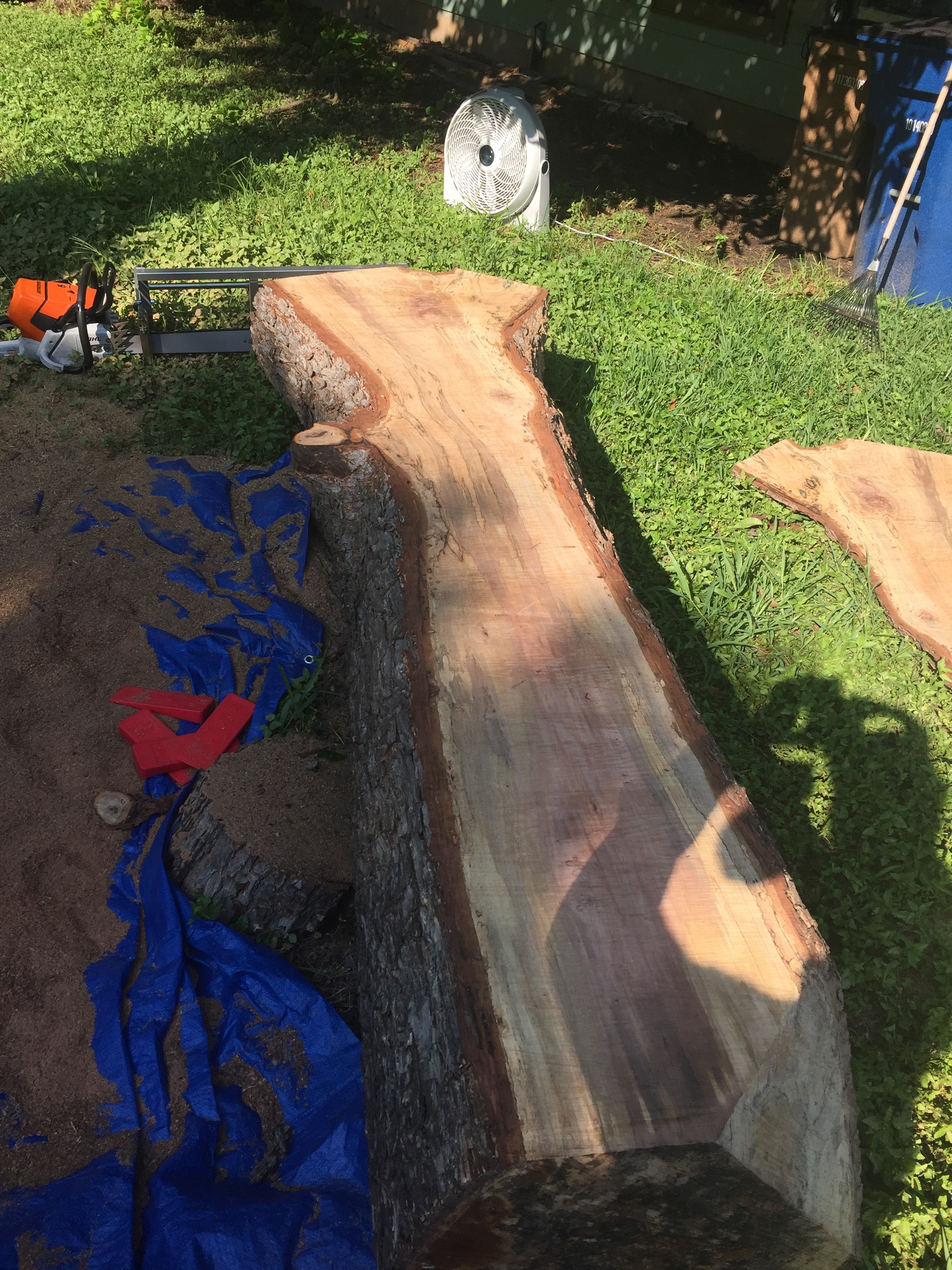 Pecan log after initial cut