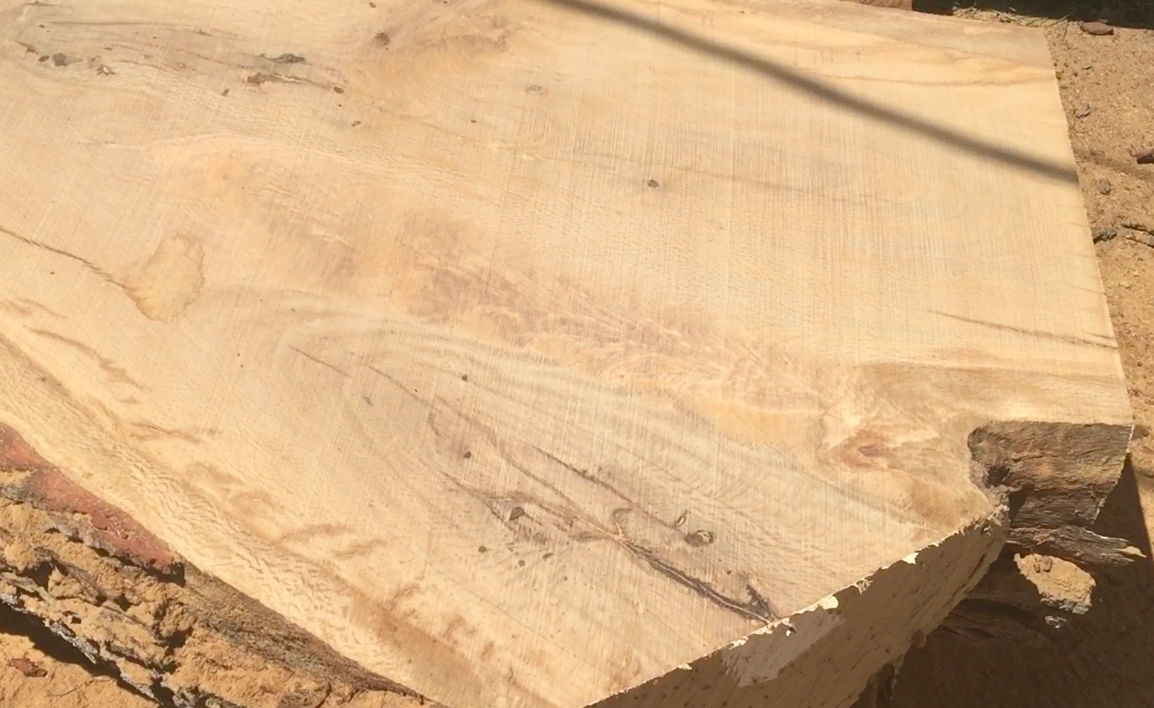 Live Oak slab