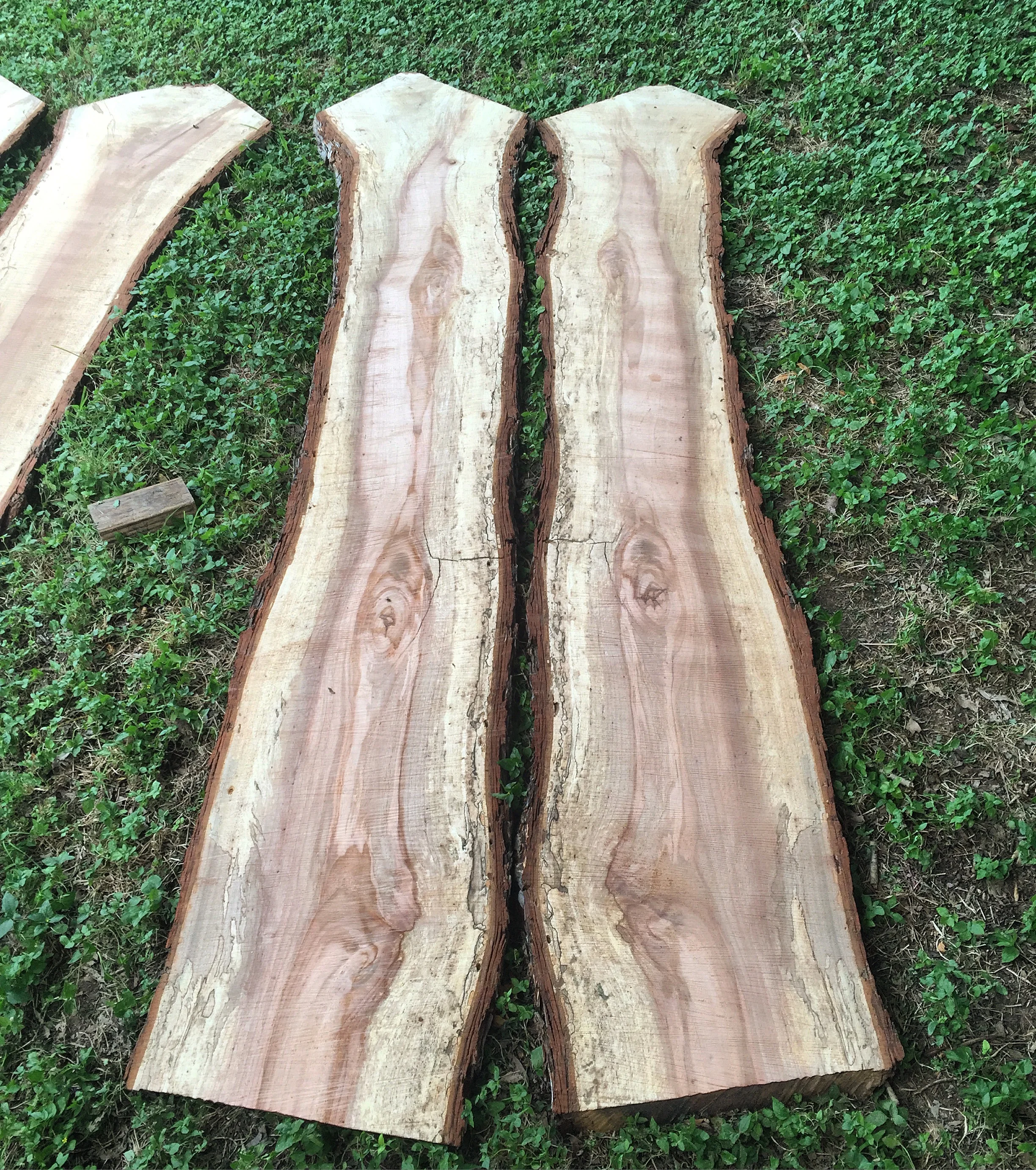 East Austin Pecan